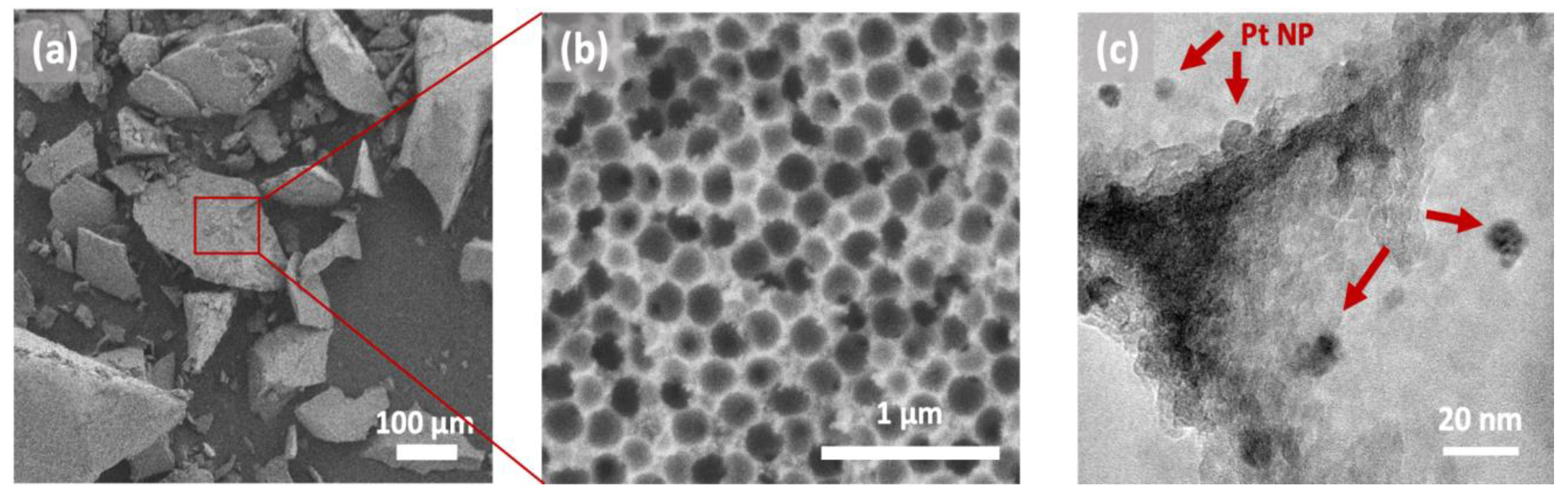 Catalysts 13 00060 g007