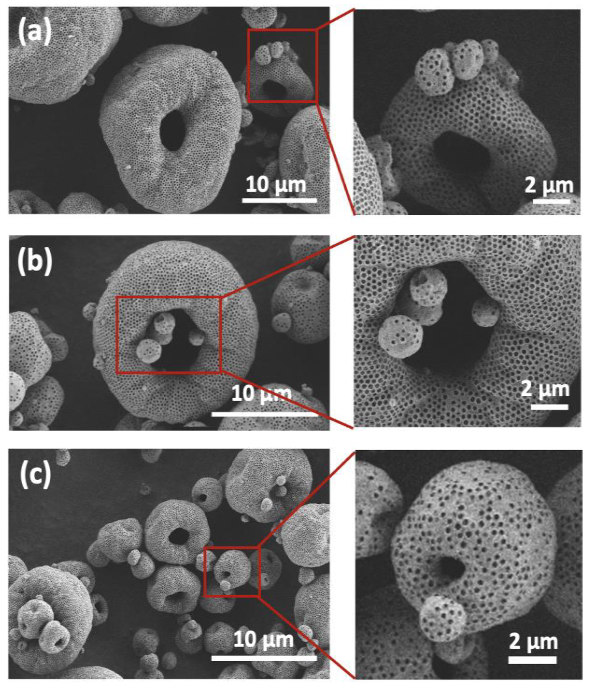 Catalysts 13 00060 g0a2
