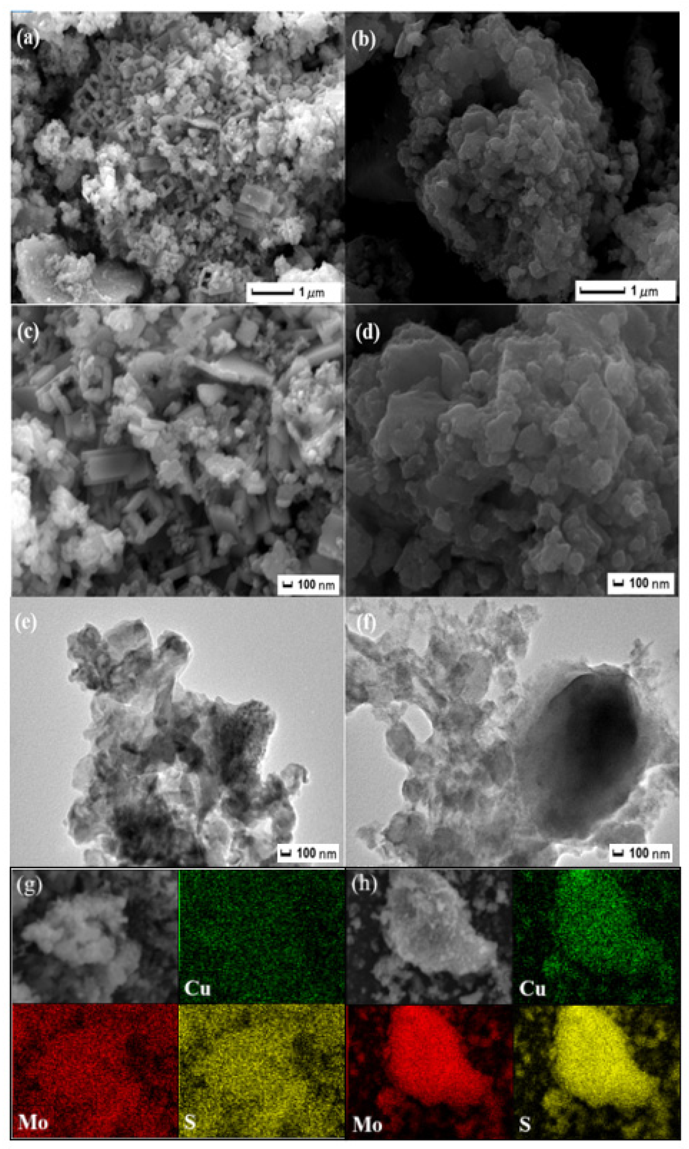Catalysts 13 00061 g002