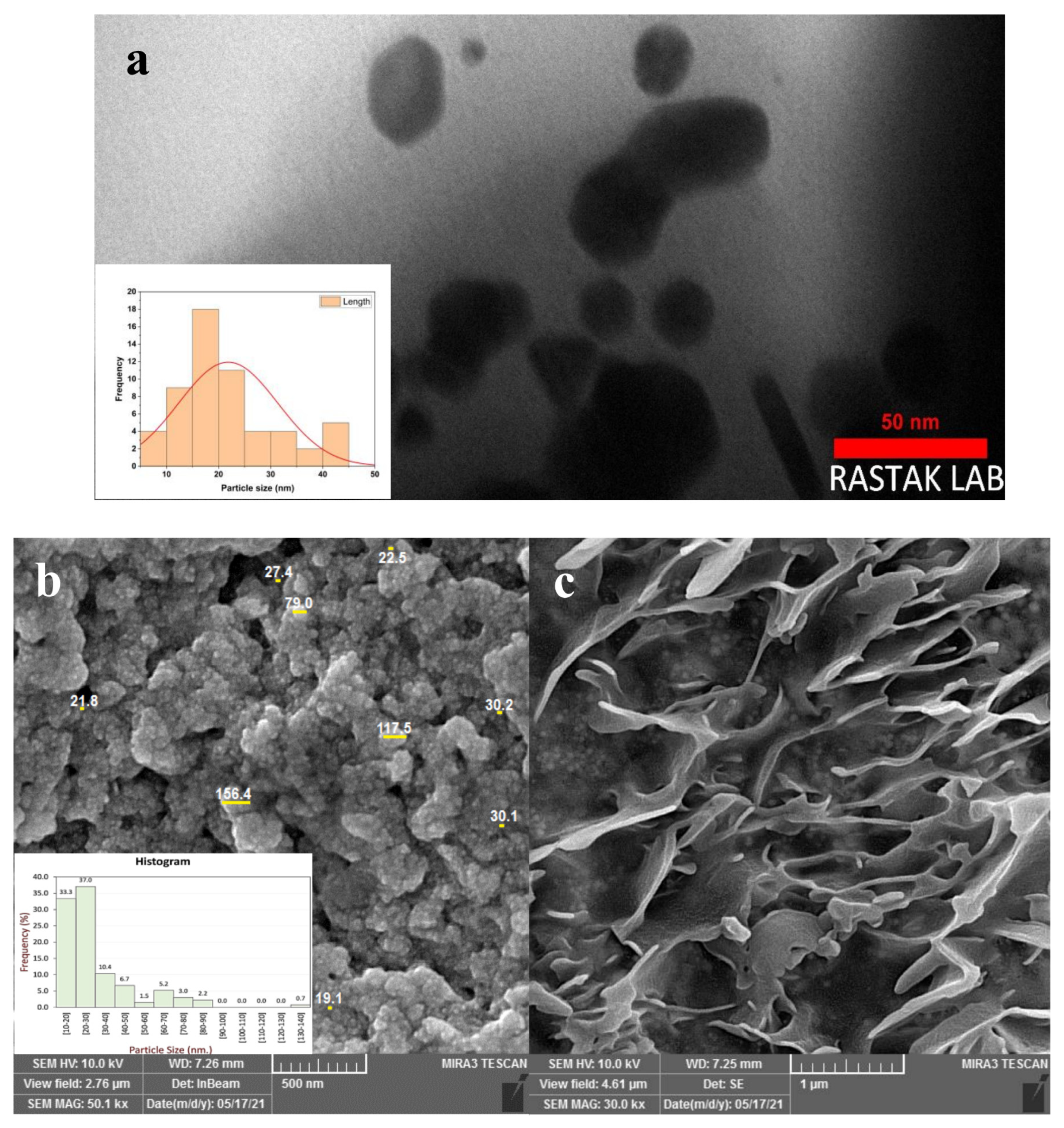 Catalysts 13 00063 g002 Catalysts 13 00063 g002
