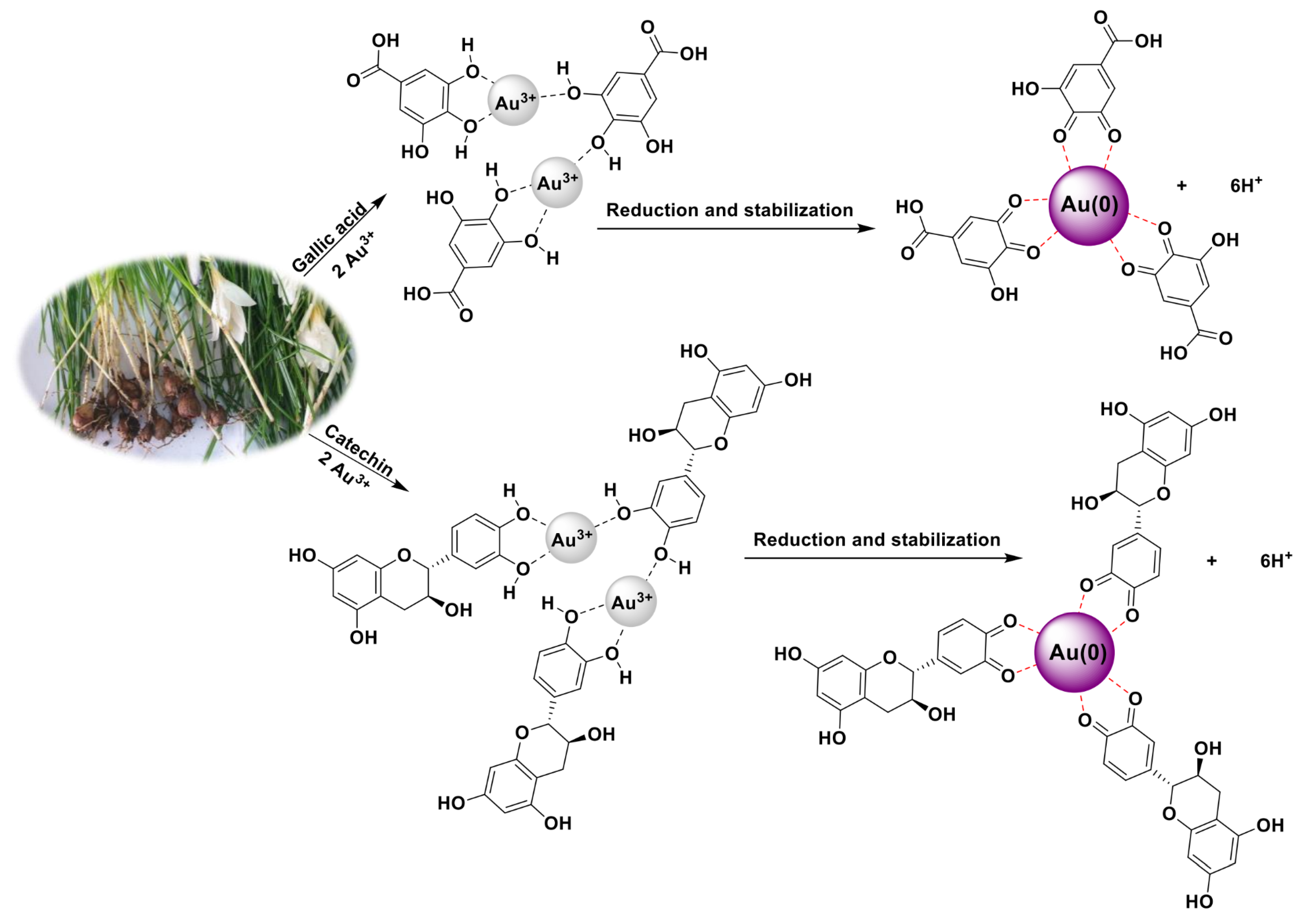 Catalysts 13 00063 g008 Catalysts 13 00063 g008