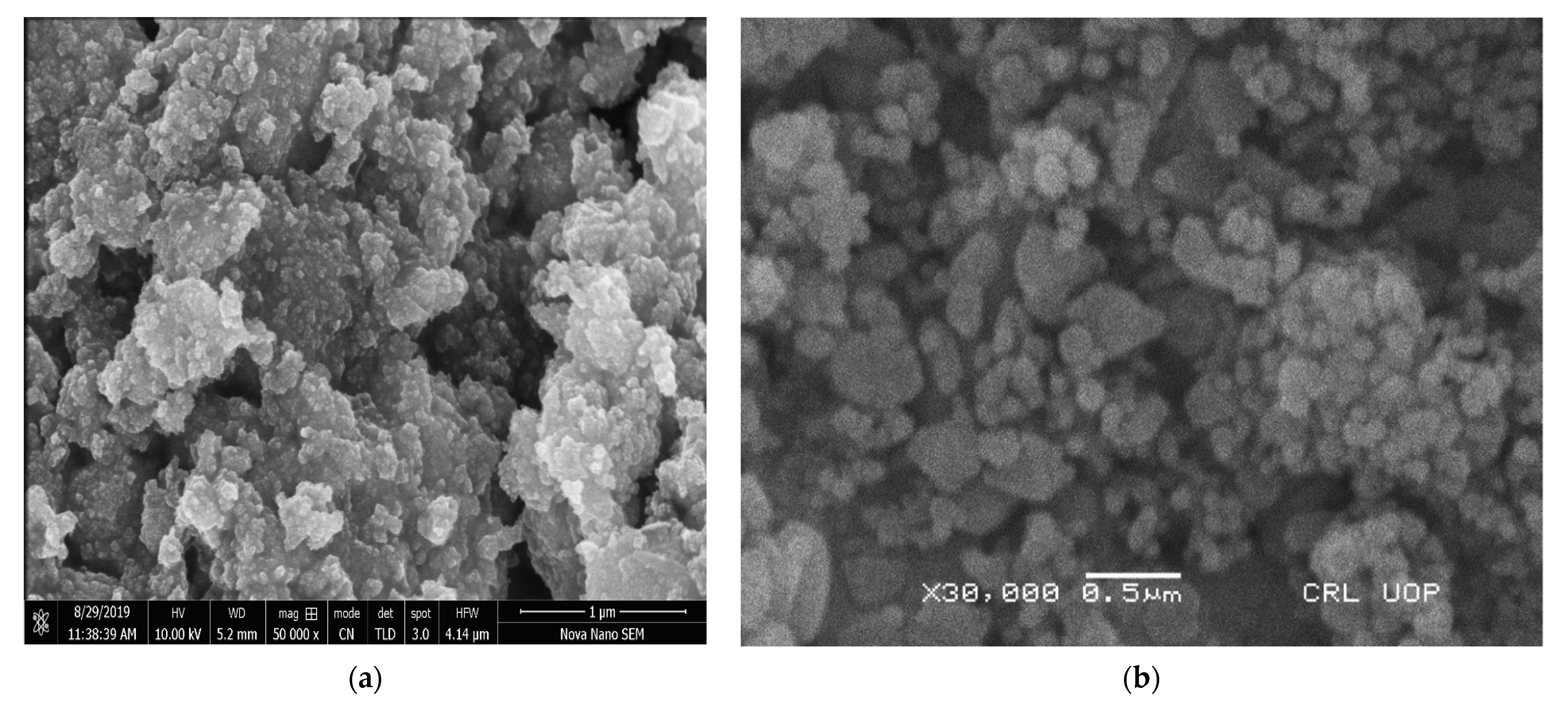 Catalysts 13 00065 g001 Catalysts 13 00065 g001