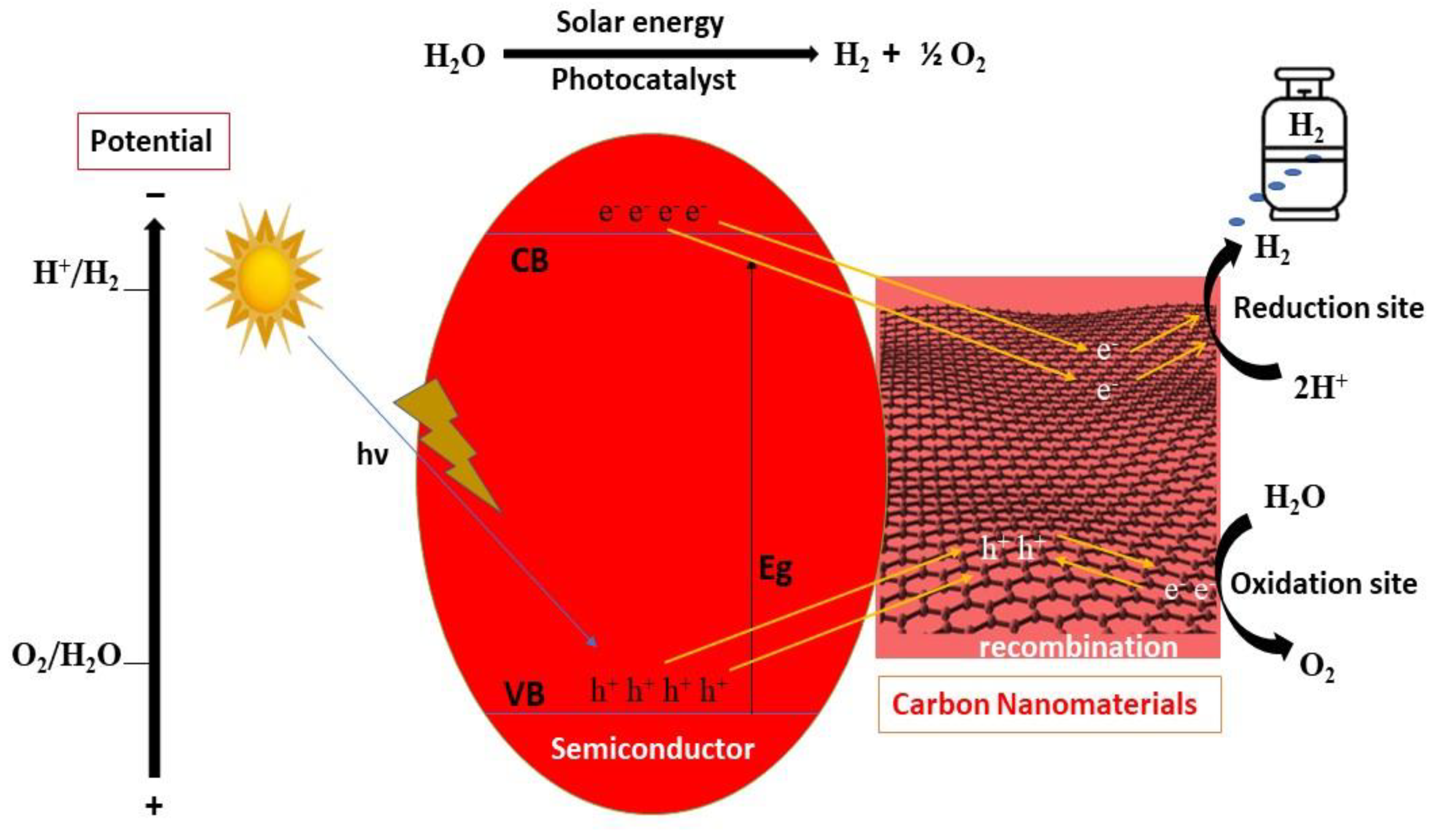 Catalysts 13 00066 g002