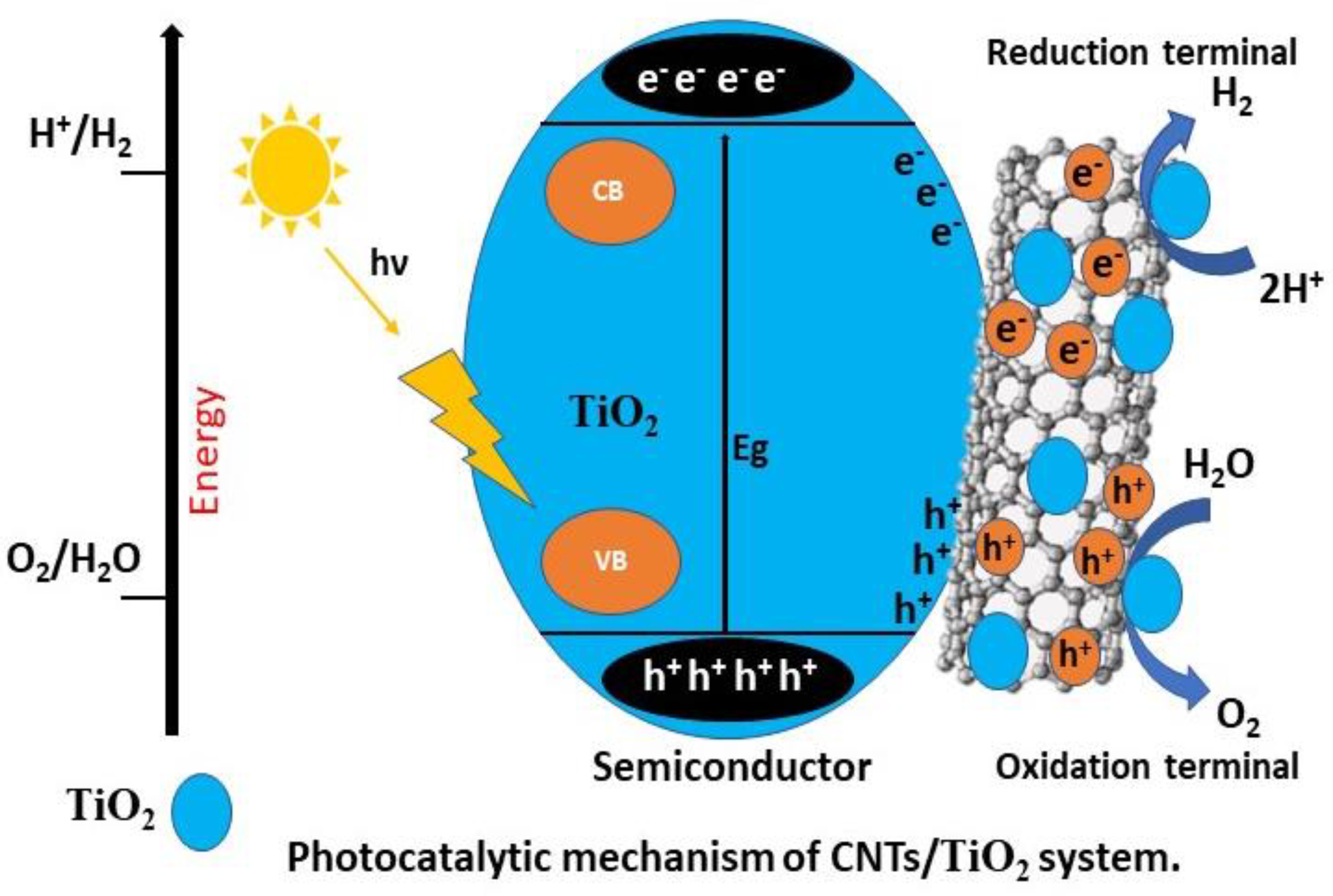 Catalysts 13 00066 g003