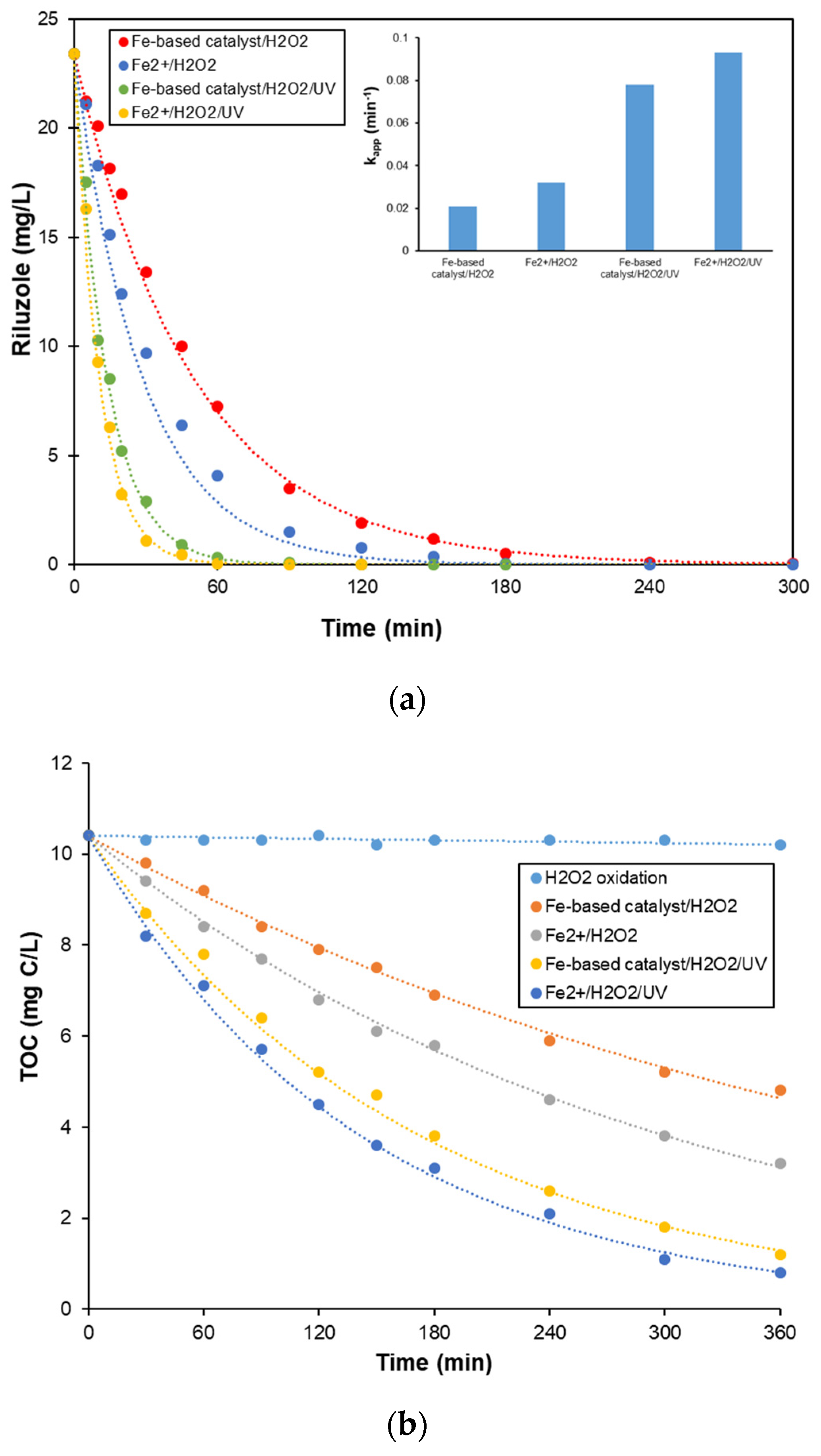 Catalysts 13 00068 g006