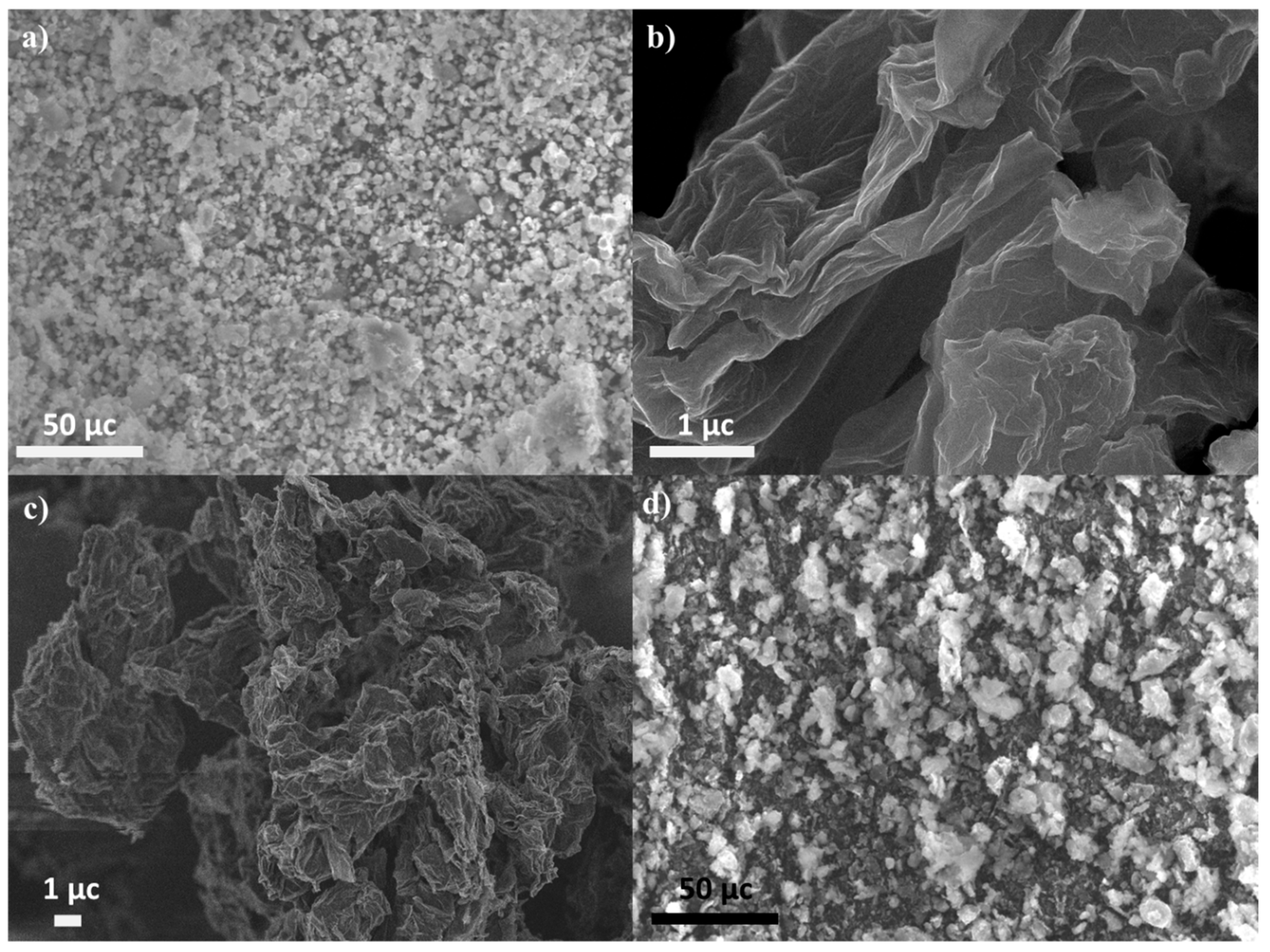 Catalysts 13 00069 g002