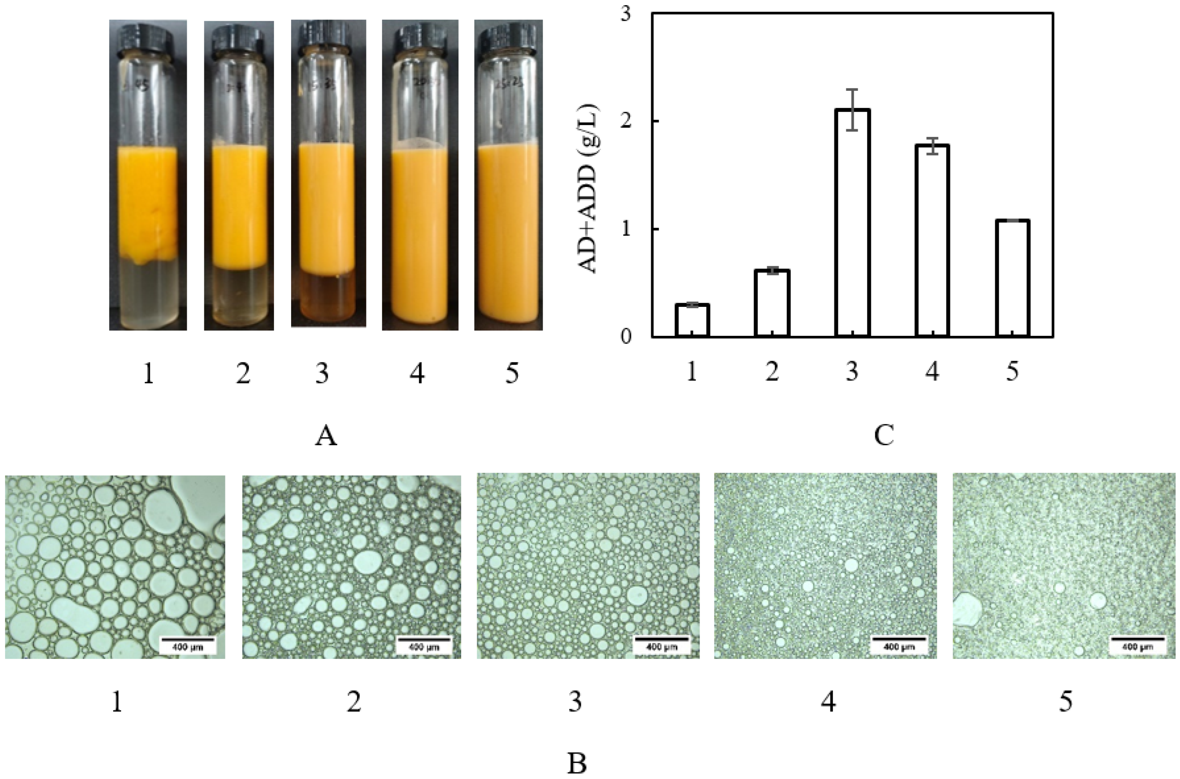 Catalysts 13 00072 g002