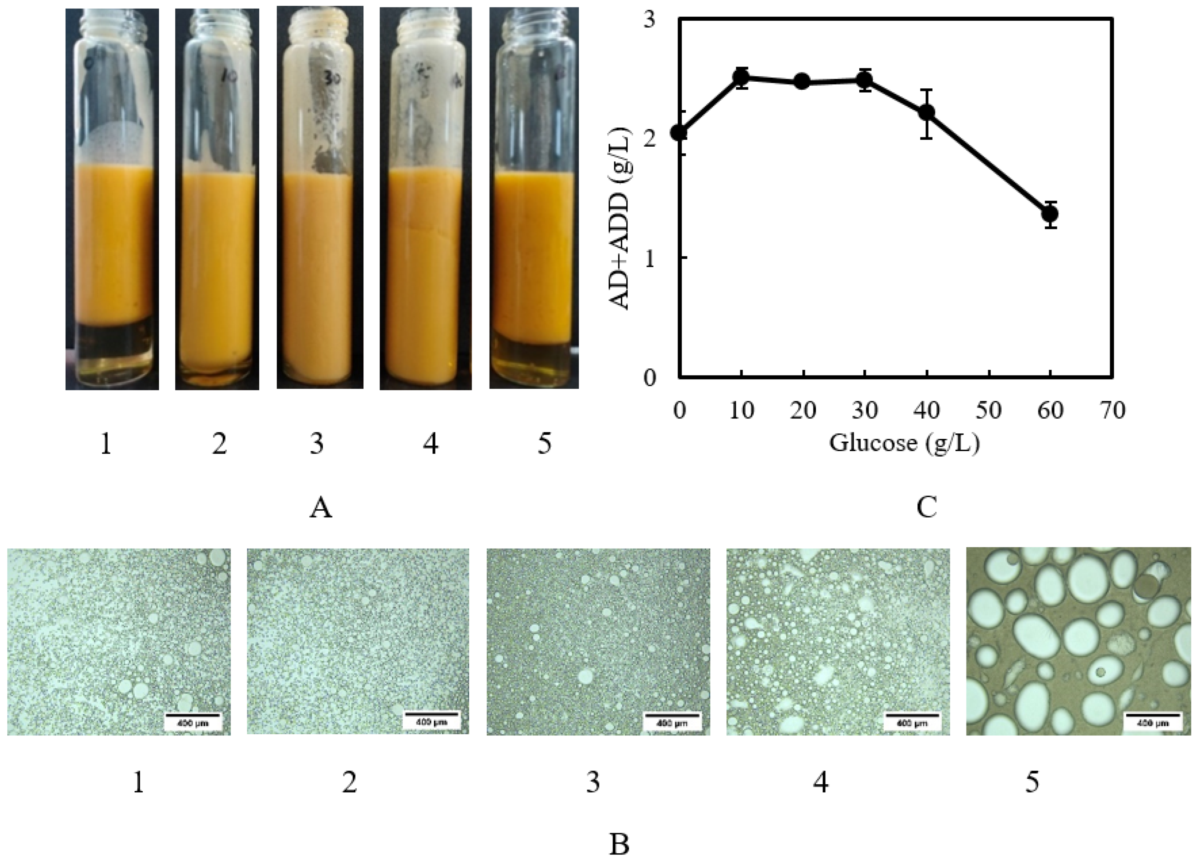 Catalysts 13 00072 g003