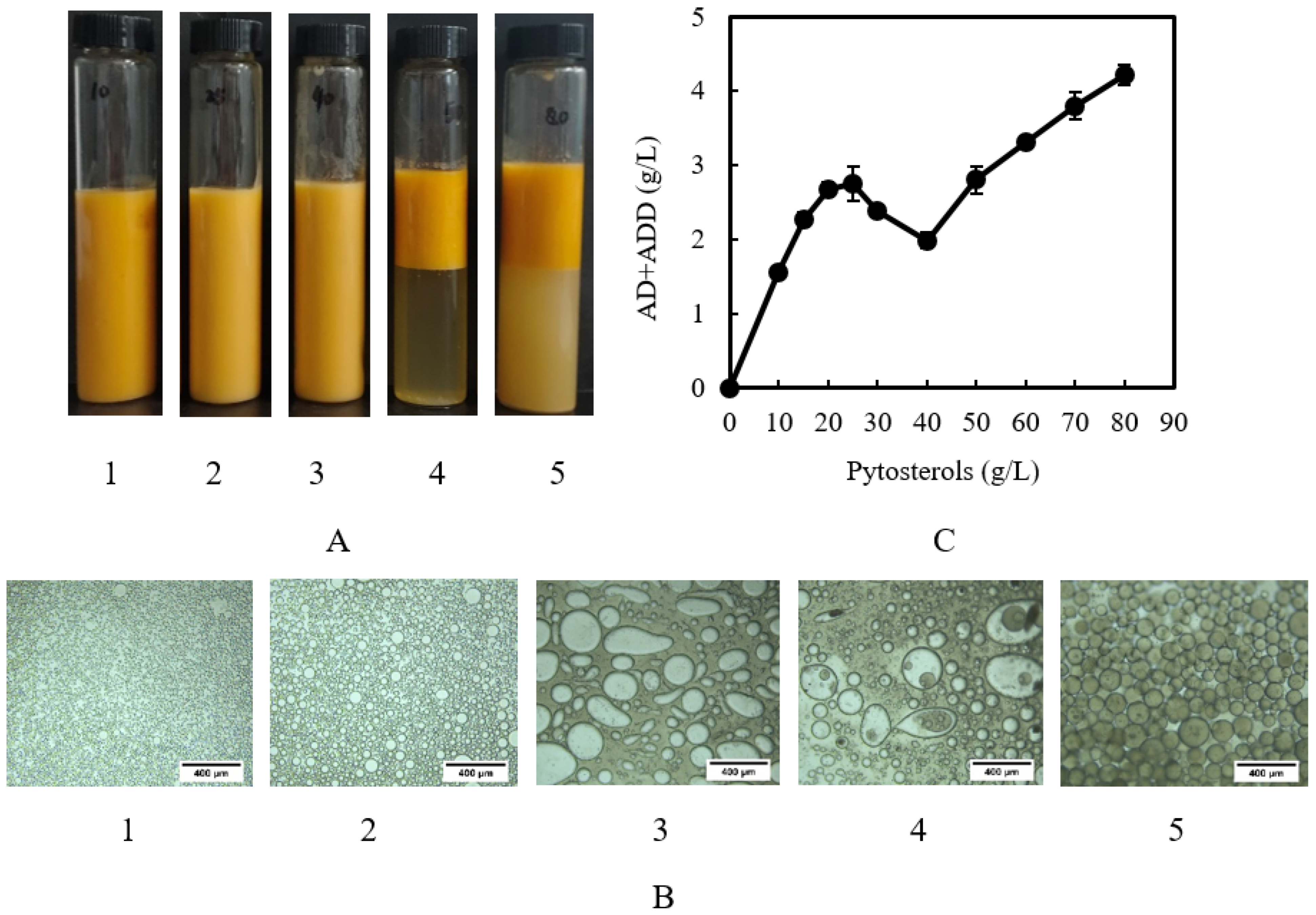 Catalysts 13 00072 g004