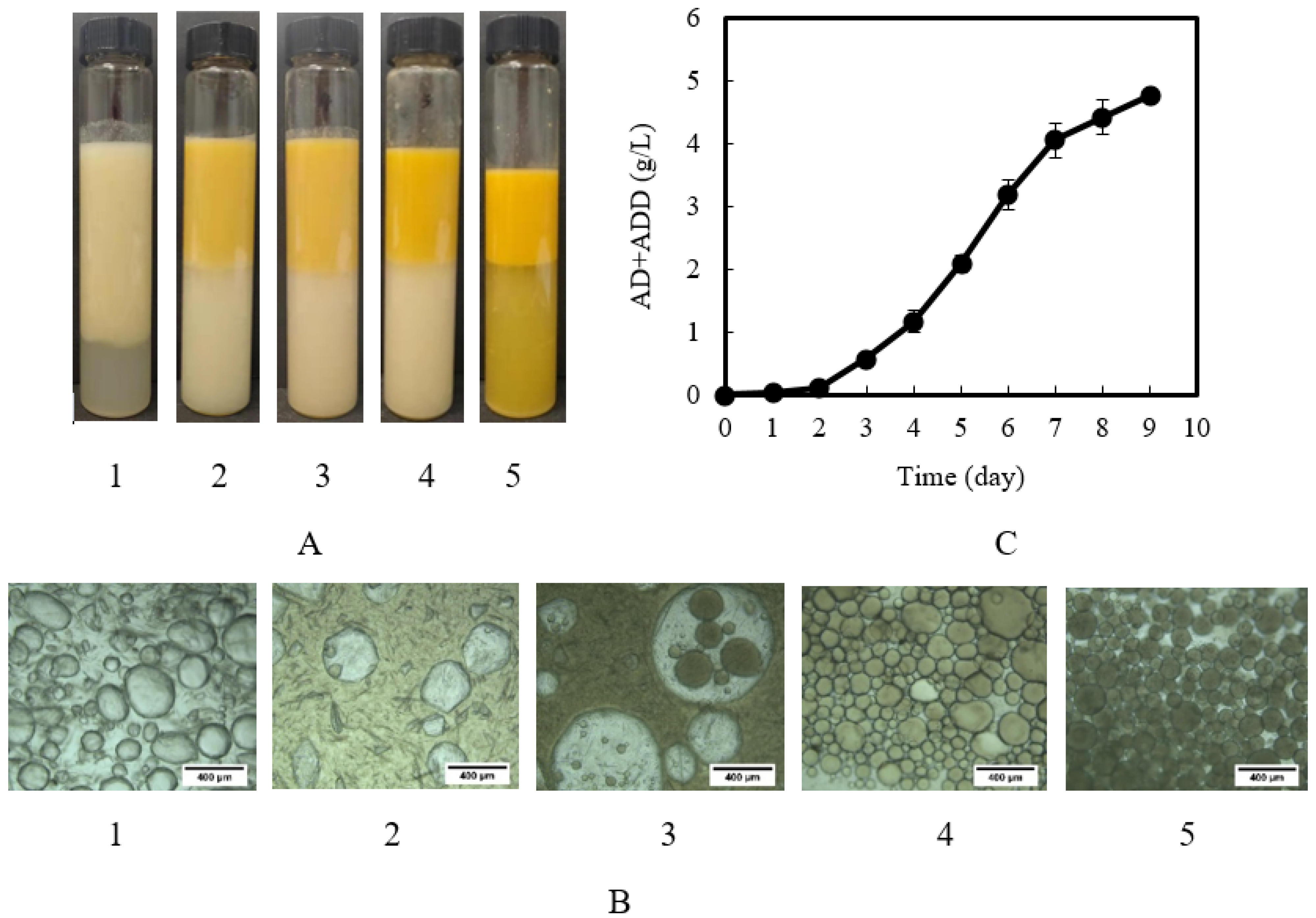 Catalysts 13 00072 g005