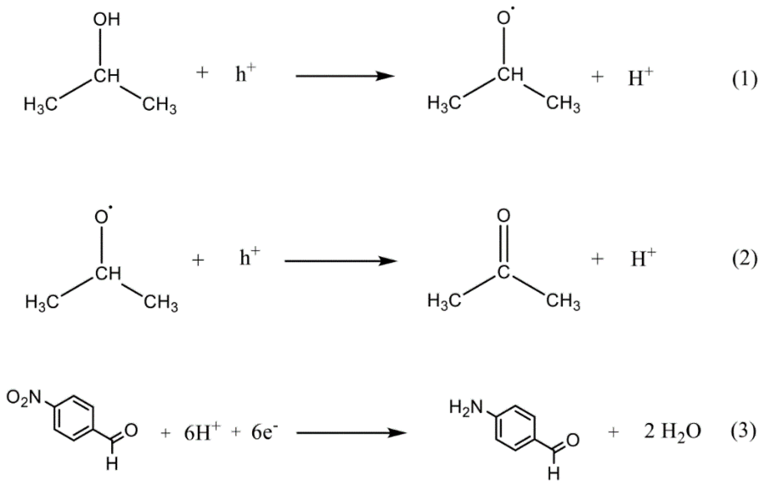 Catalysts 13 00074 sch001a Catalysts 13 00074 sch001a