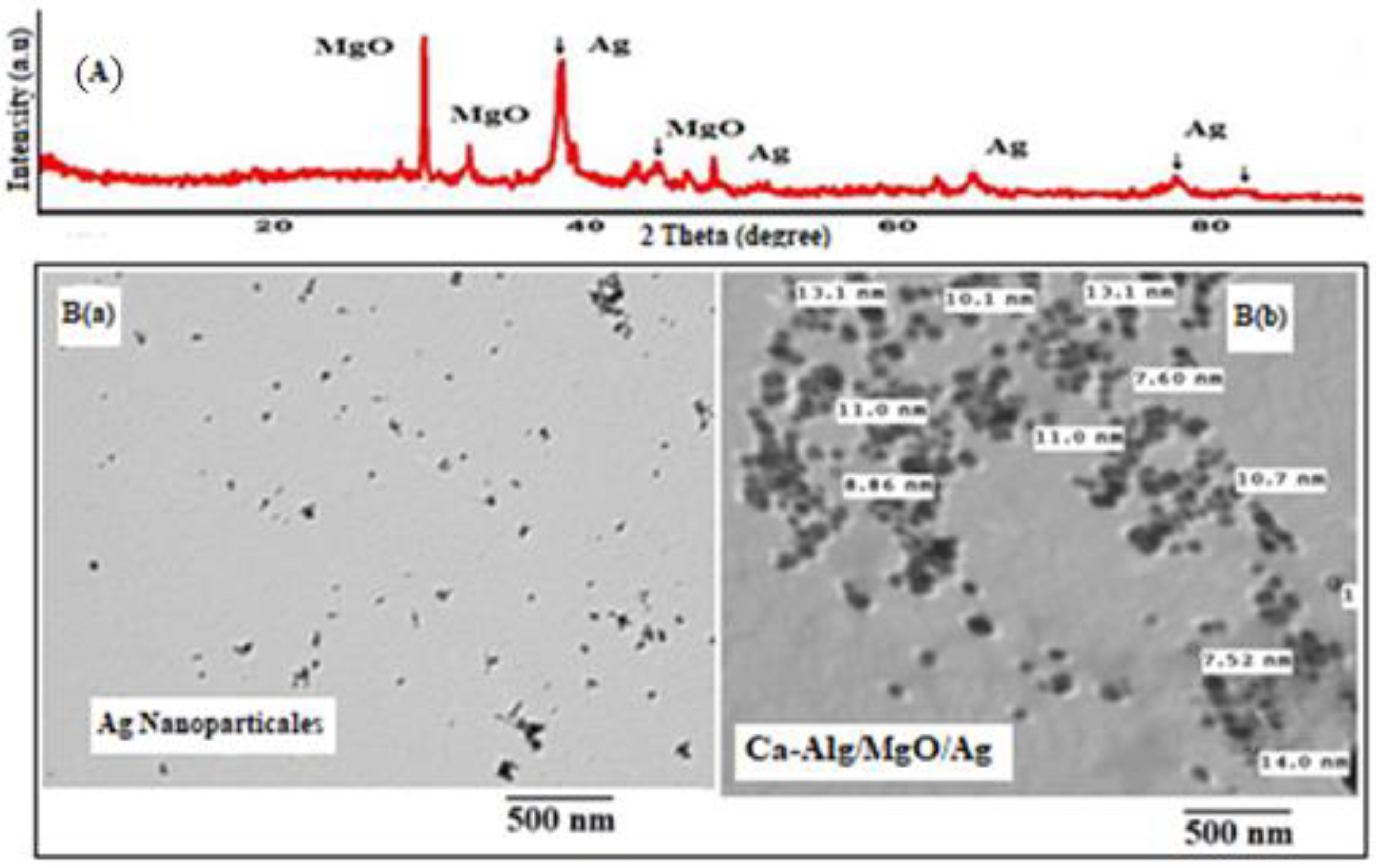 Catalysts 13 00078 g002