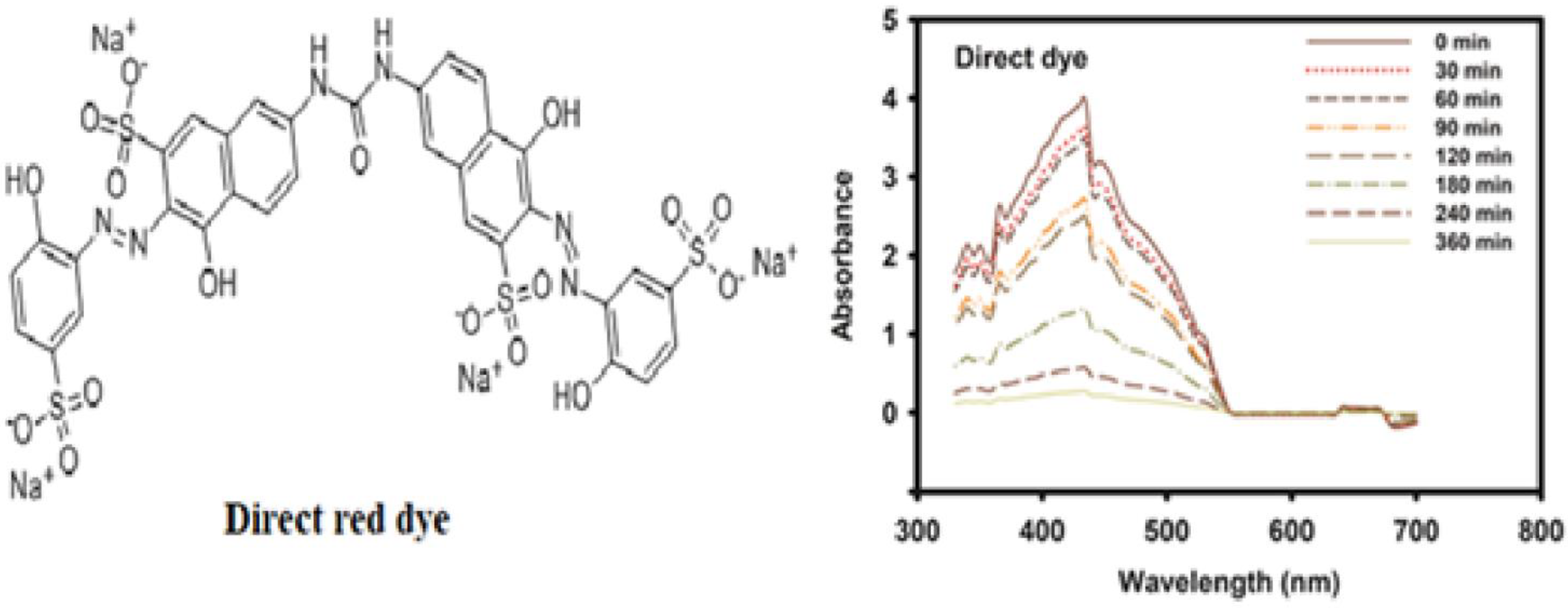 Catalysts 13 00078 g003