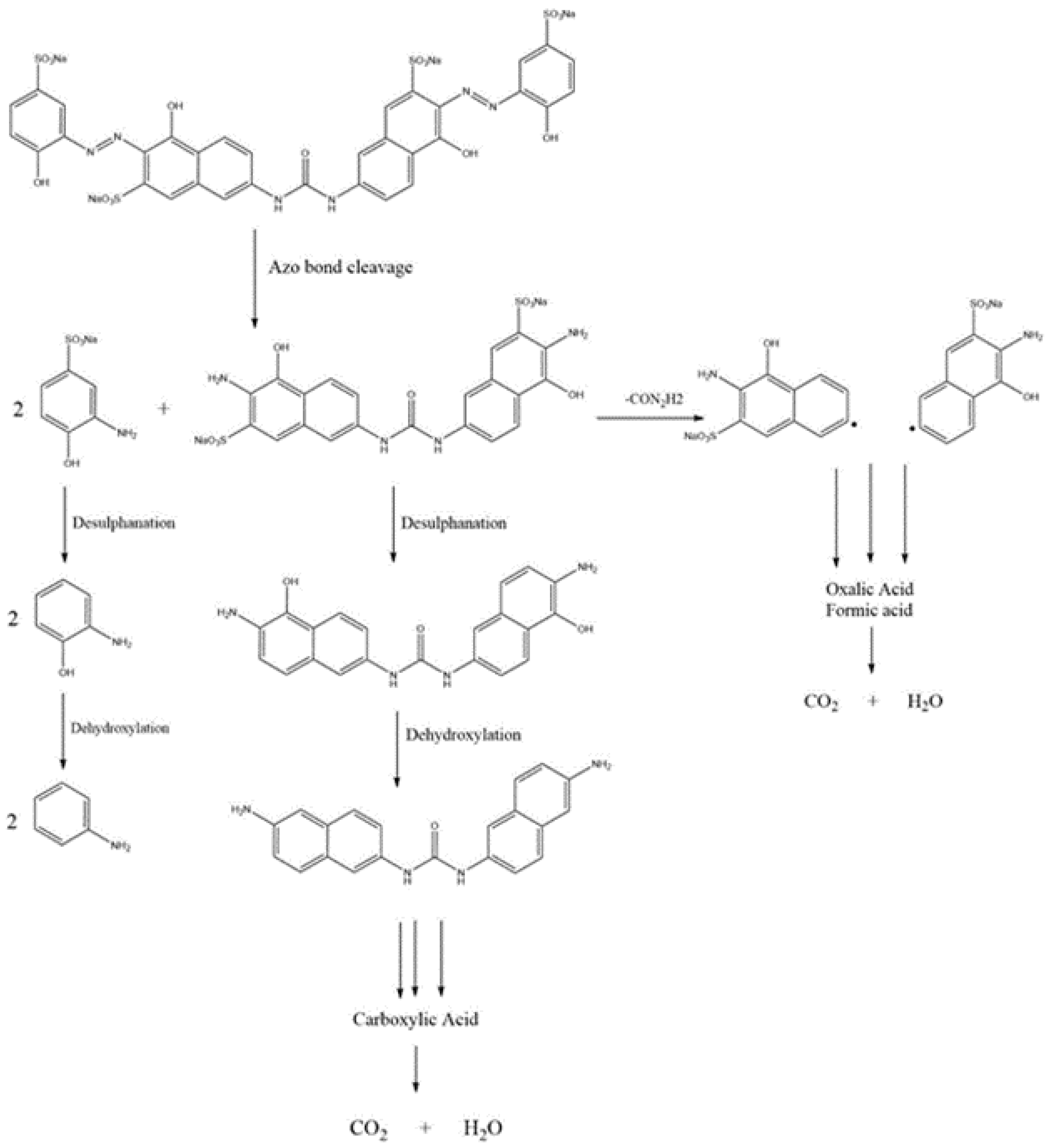 Catalysts 13 00078 g008