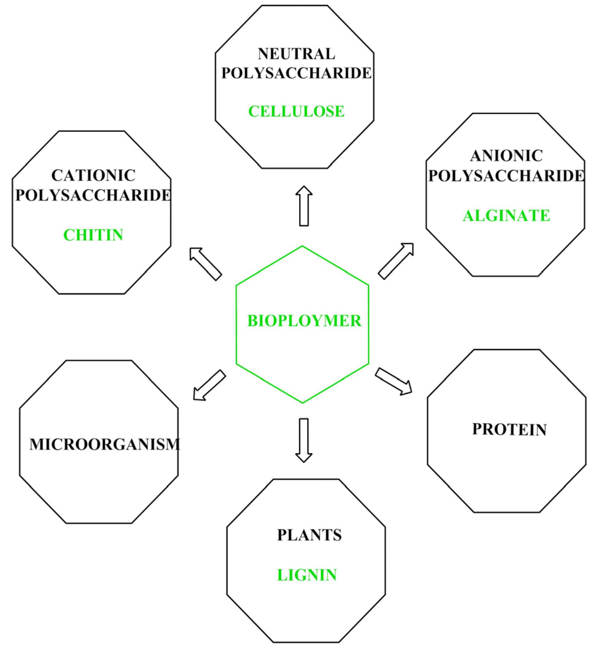 Catalysts 13 00080 g001