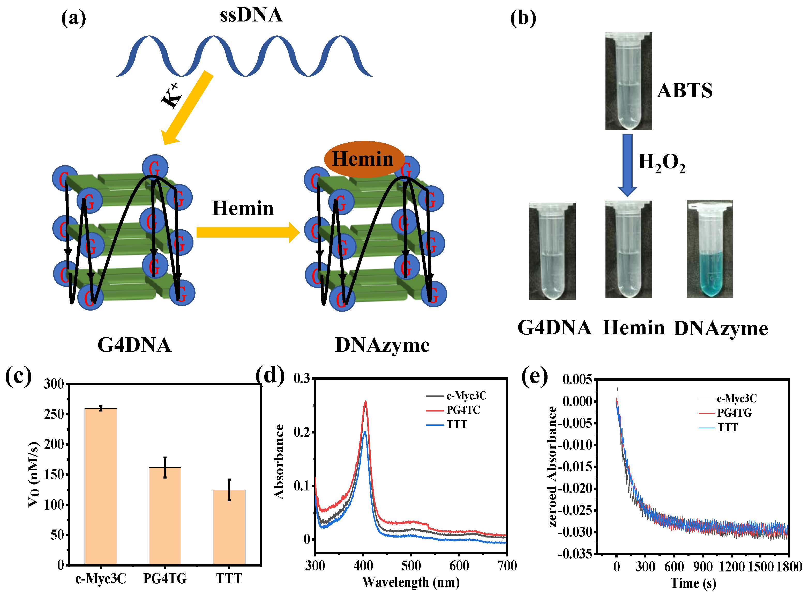 Catalysts 13 00081 g001