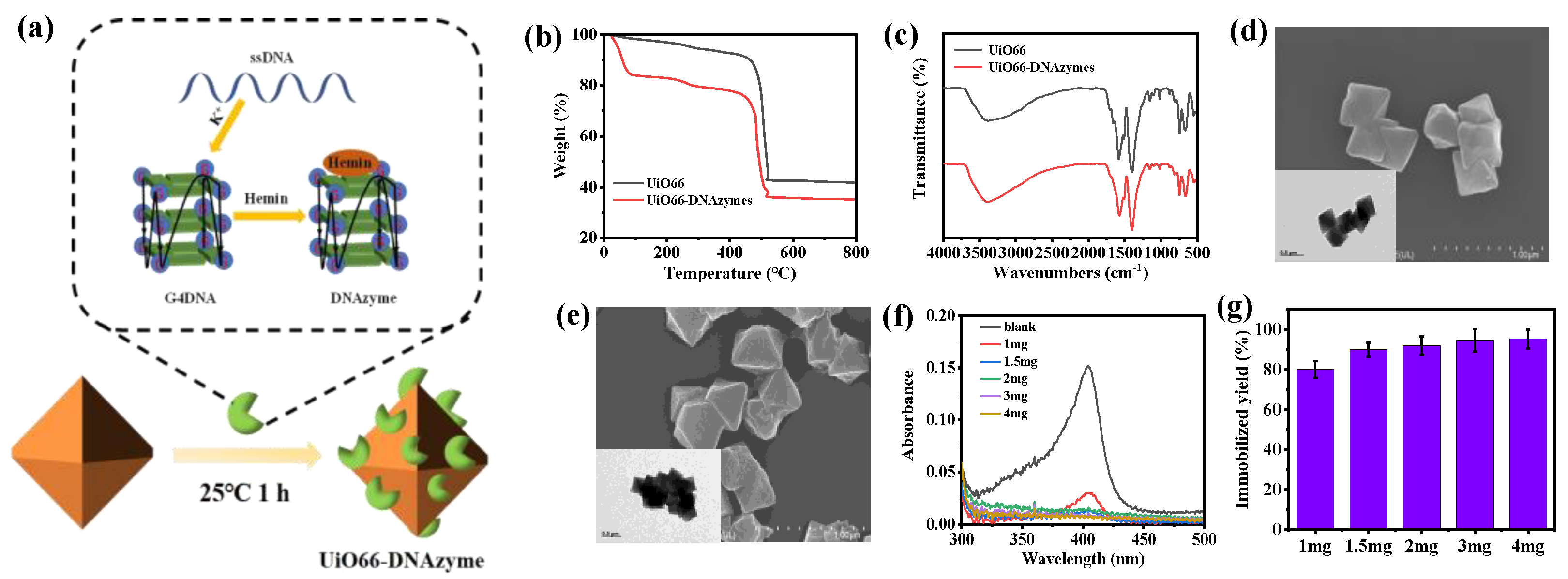 Catalysts 13 00081 g003