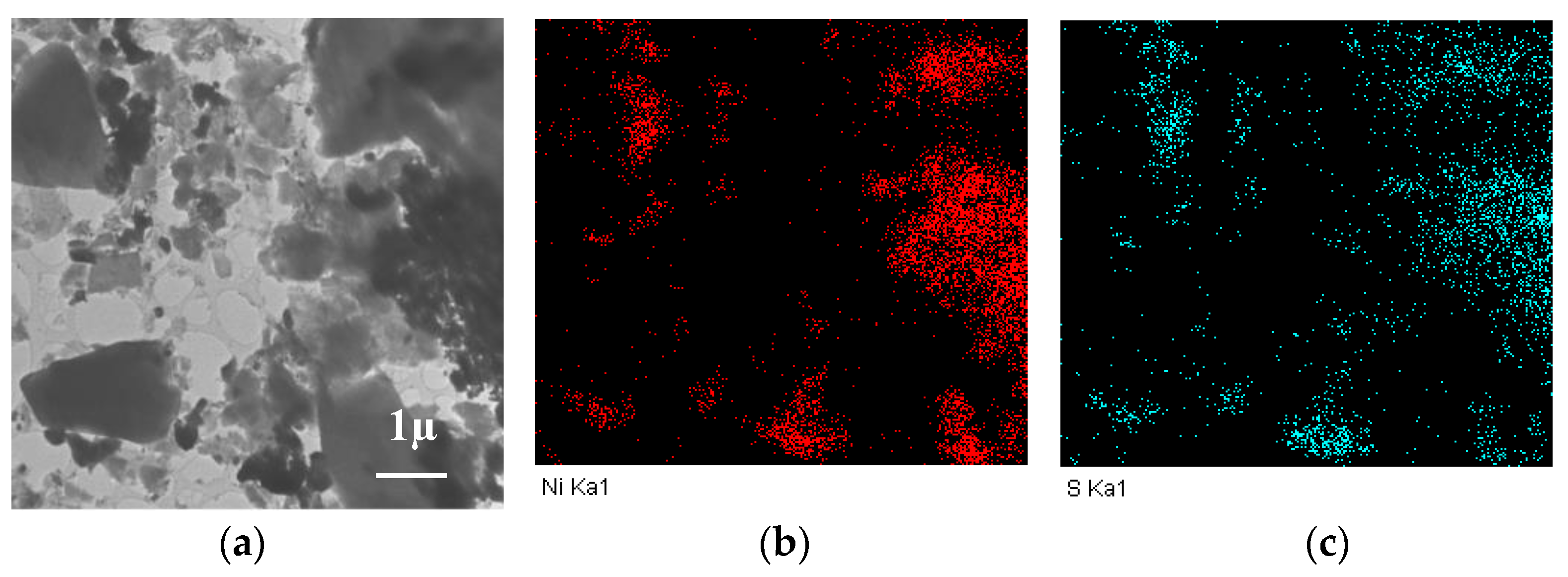 Catalysts 13 00082 g004