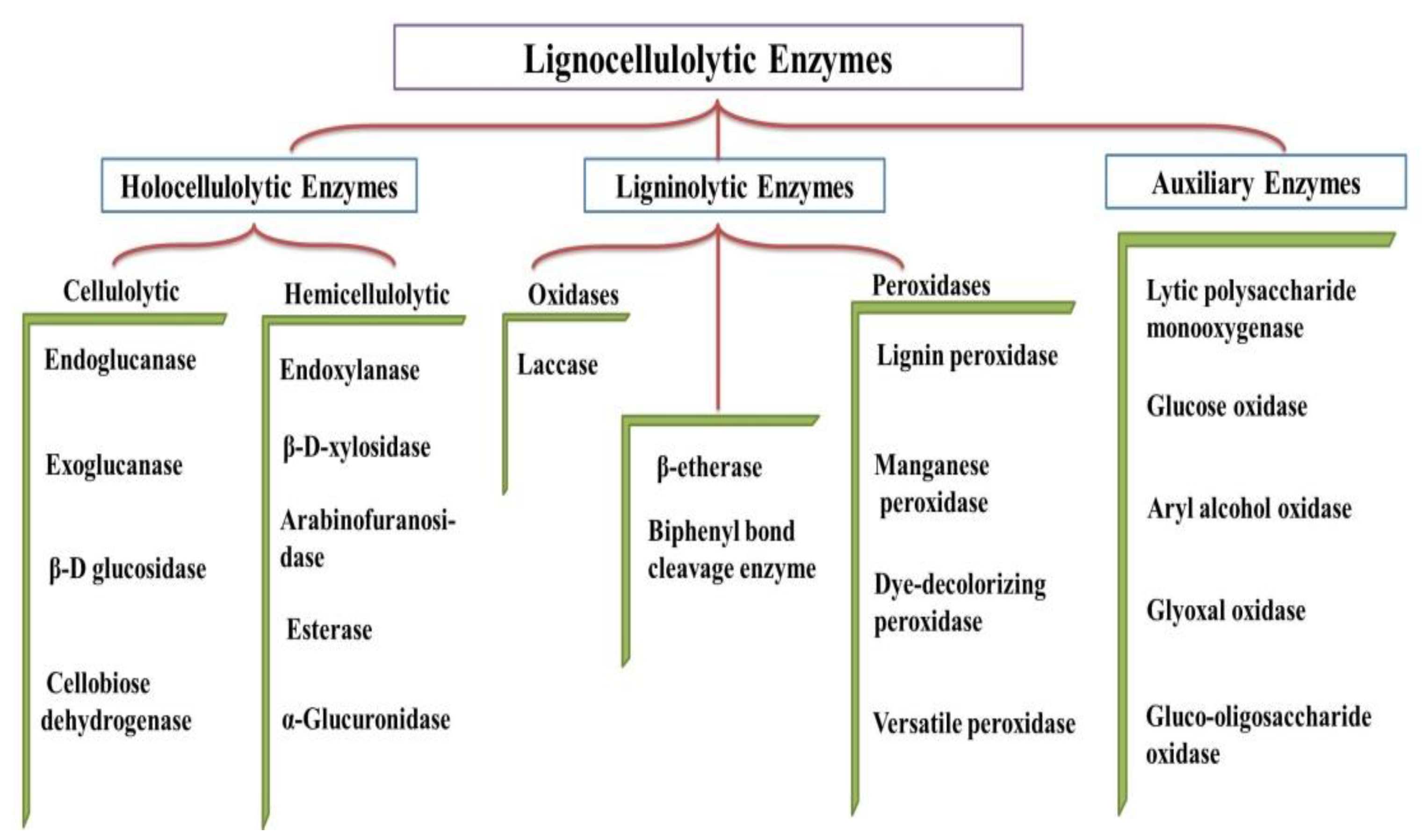 Catalysts 13 00083 g001