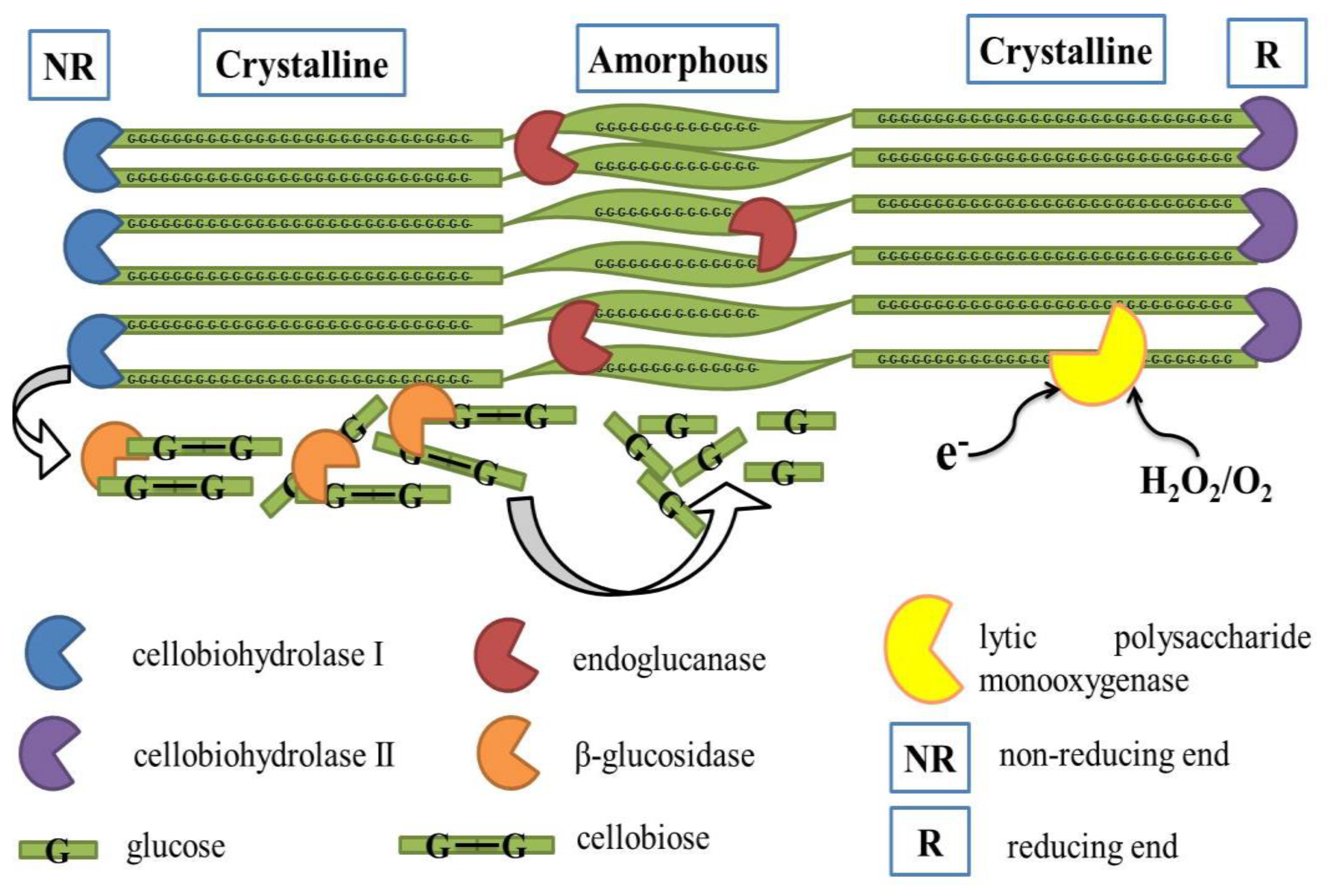 Catalysts 13 00083 g002