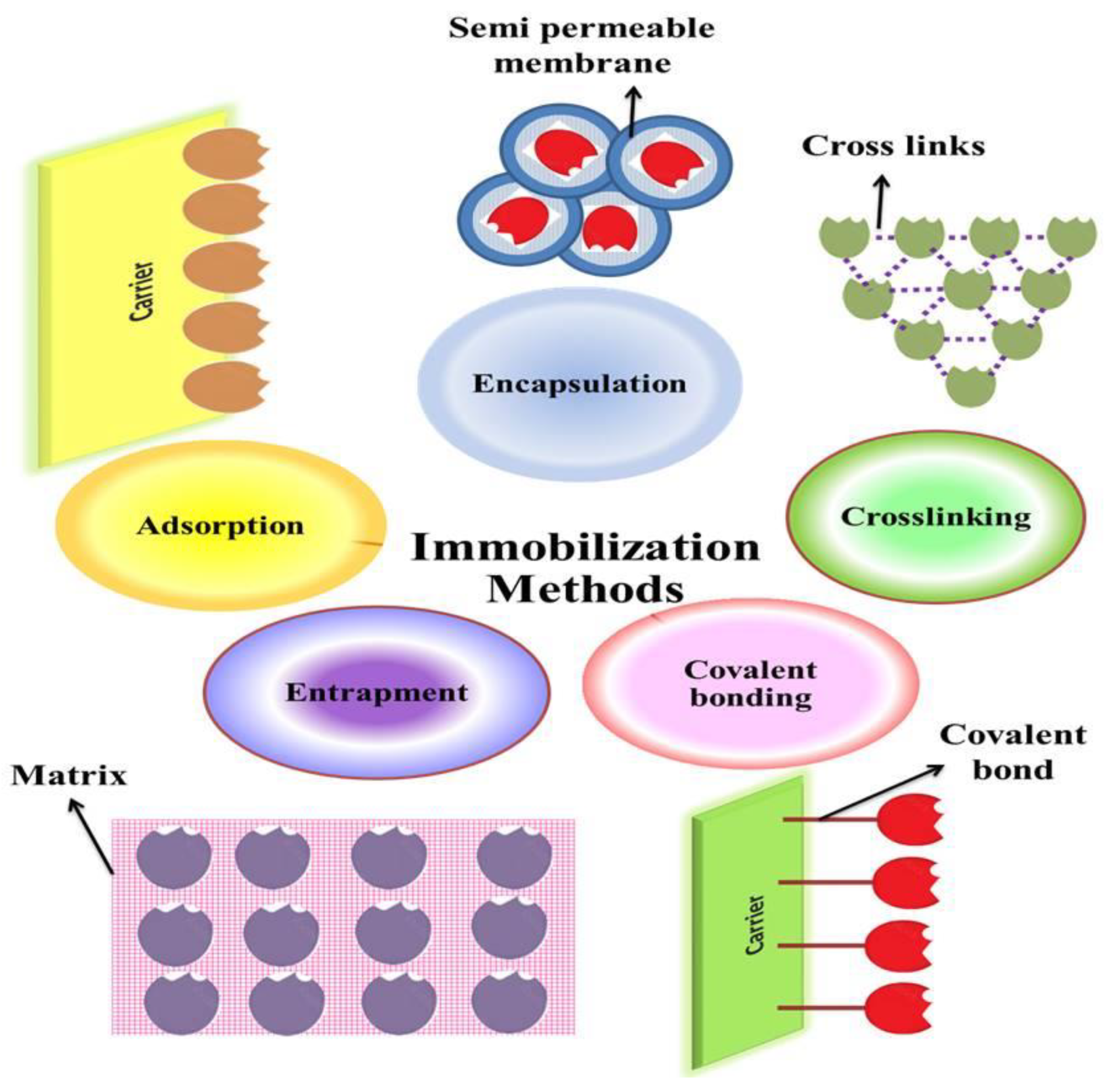 Catalysts 13 00083 g003