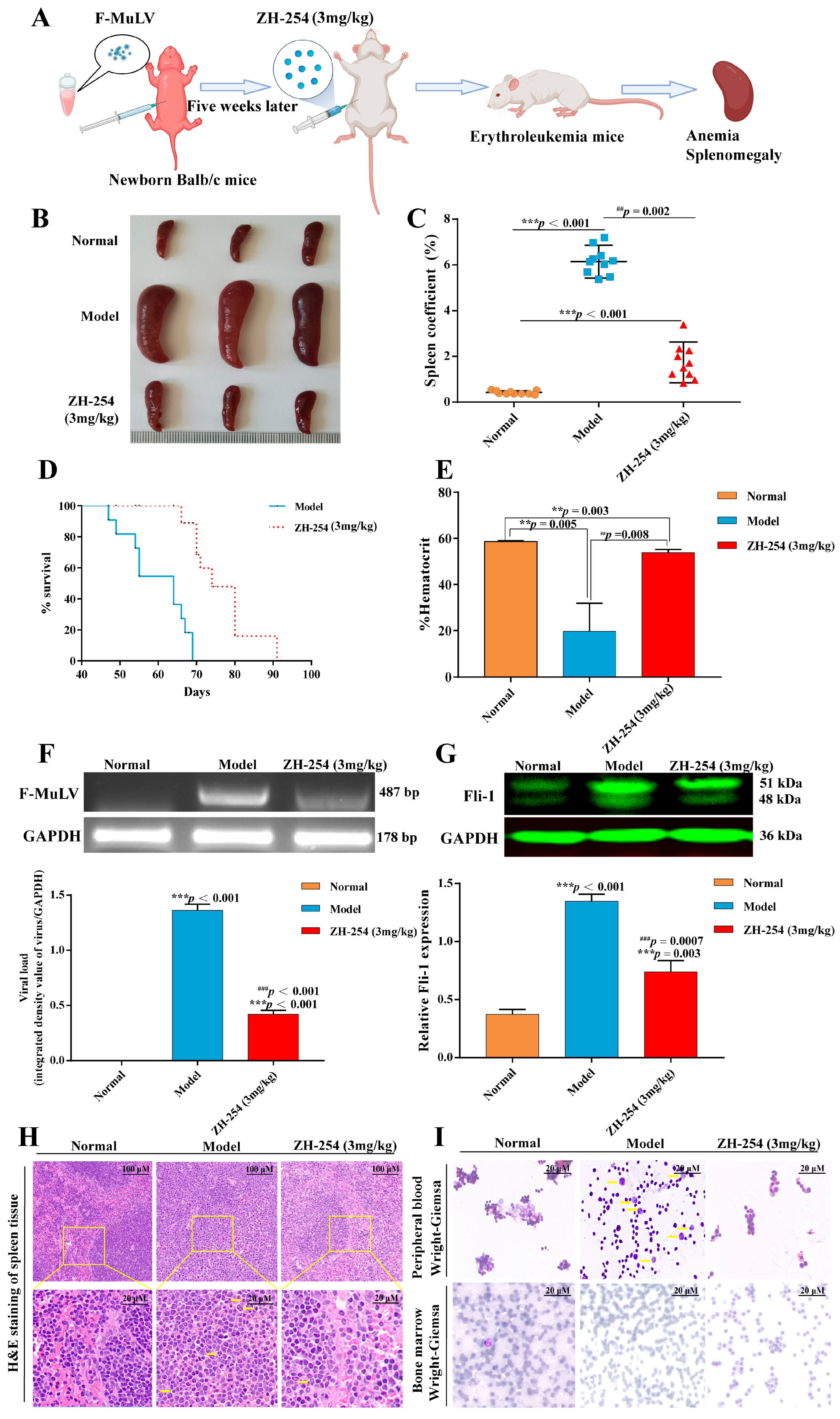 Catalysts 13 00084 g002