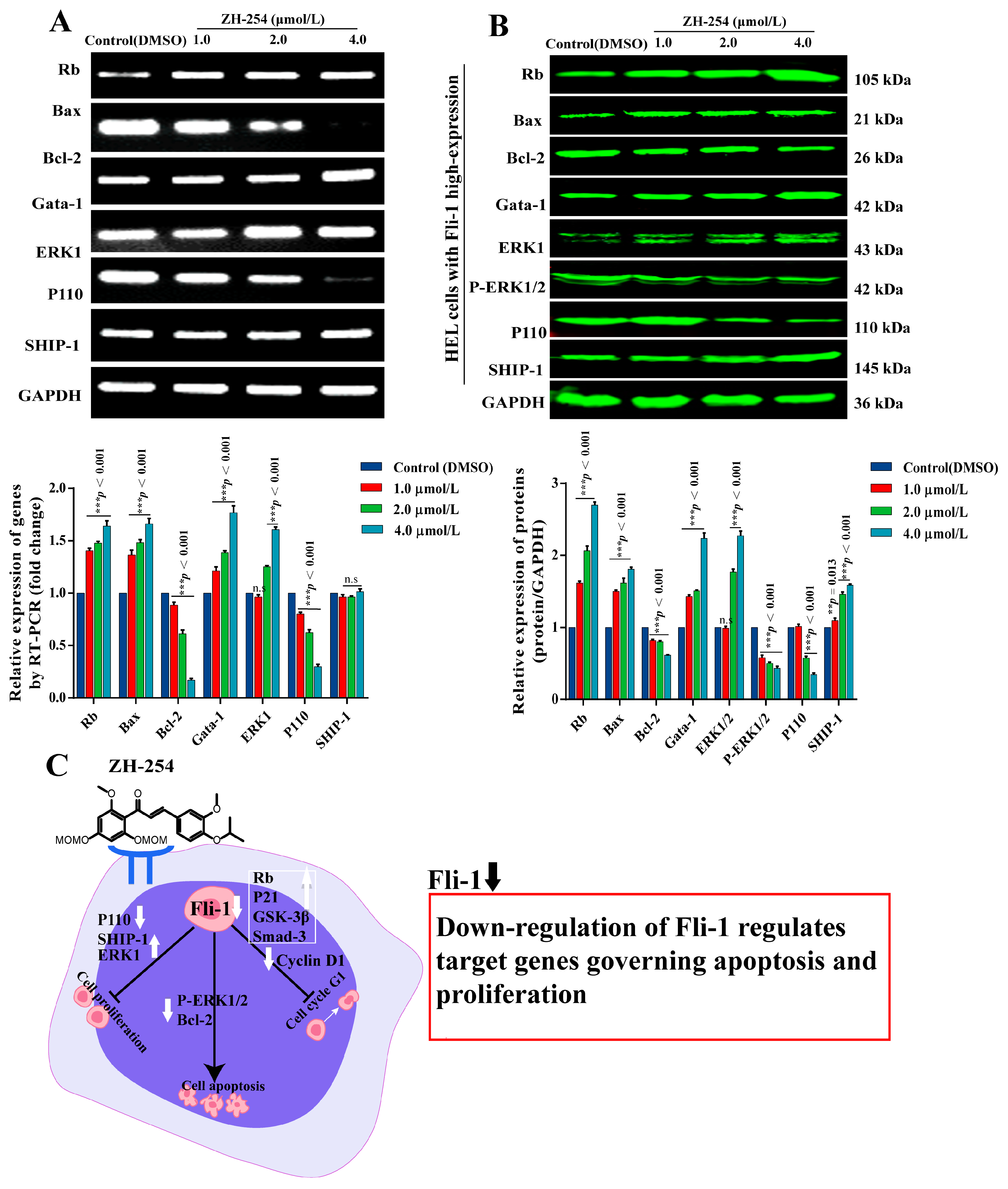 Catalysts 13 00084 g006