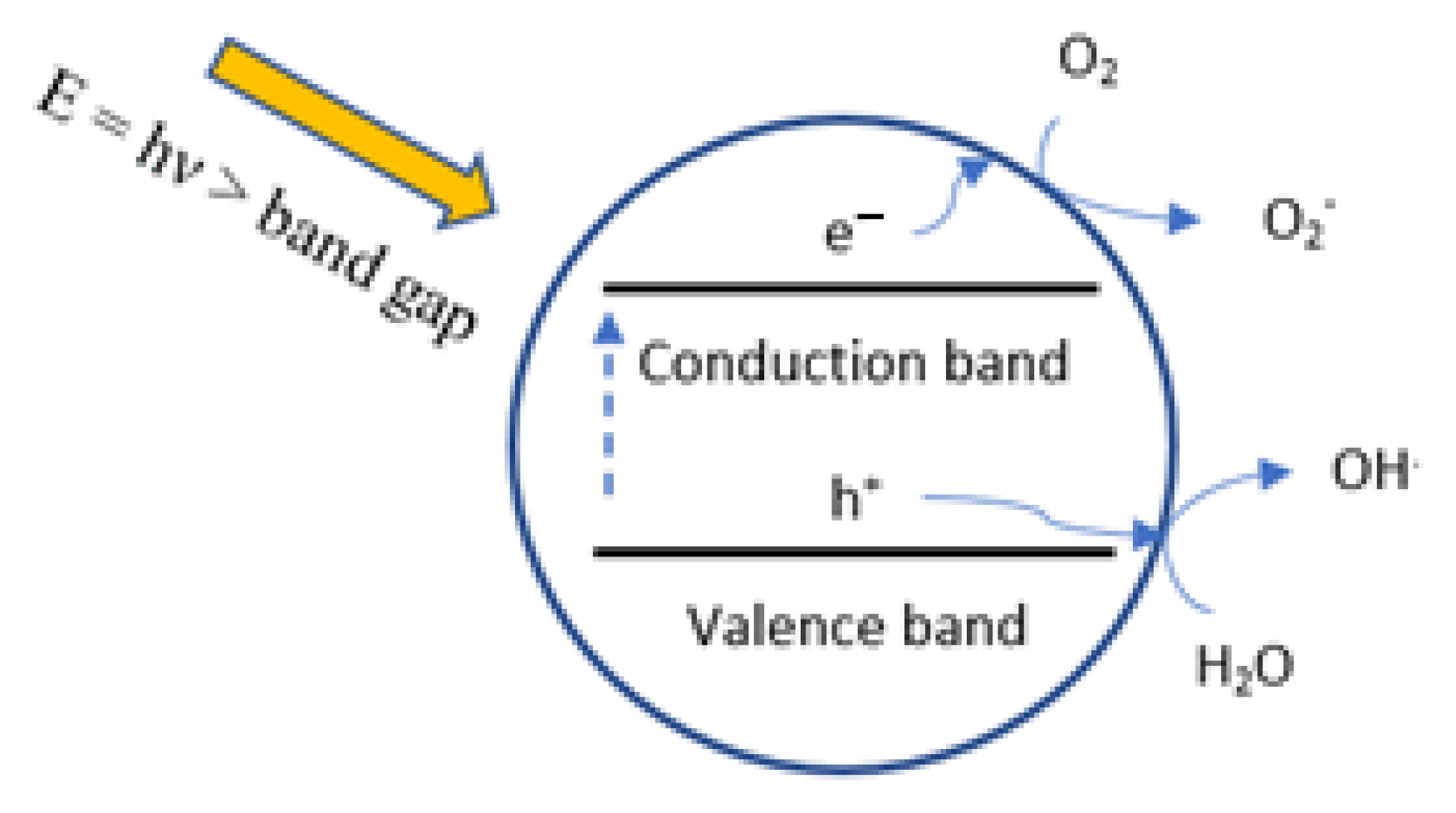 Catalysts 13 00085 g001 Catalysts 13 00085 g001