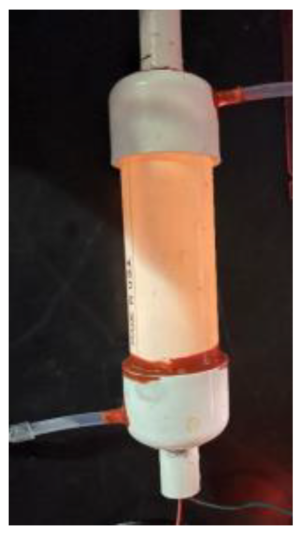 Catalysts 13 00085 g005 Catalysts 13 00085 g005