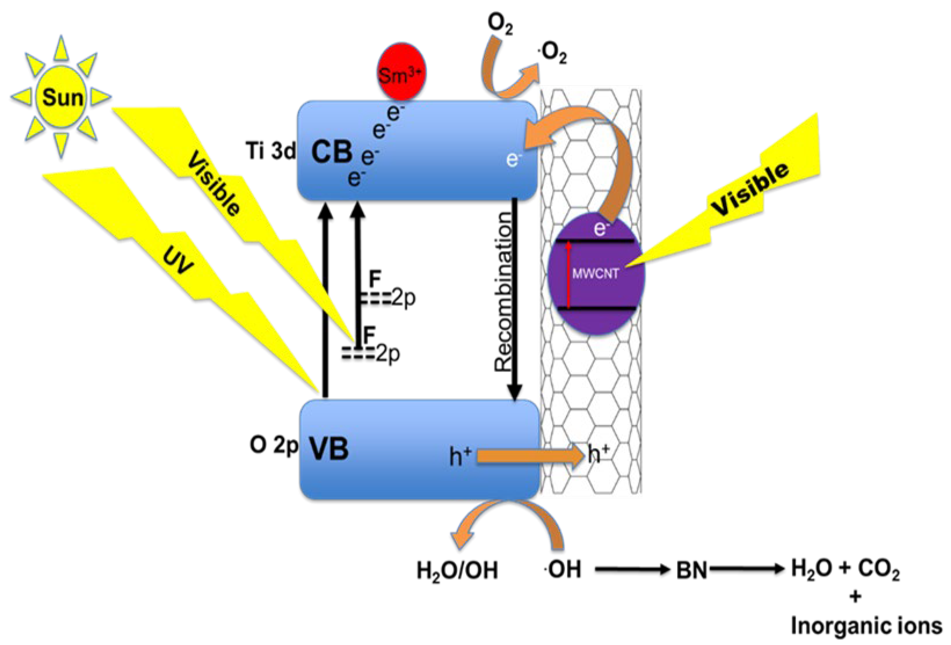 Catalysts 13 00086 g006