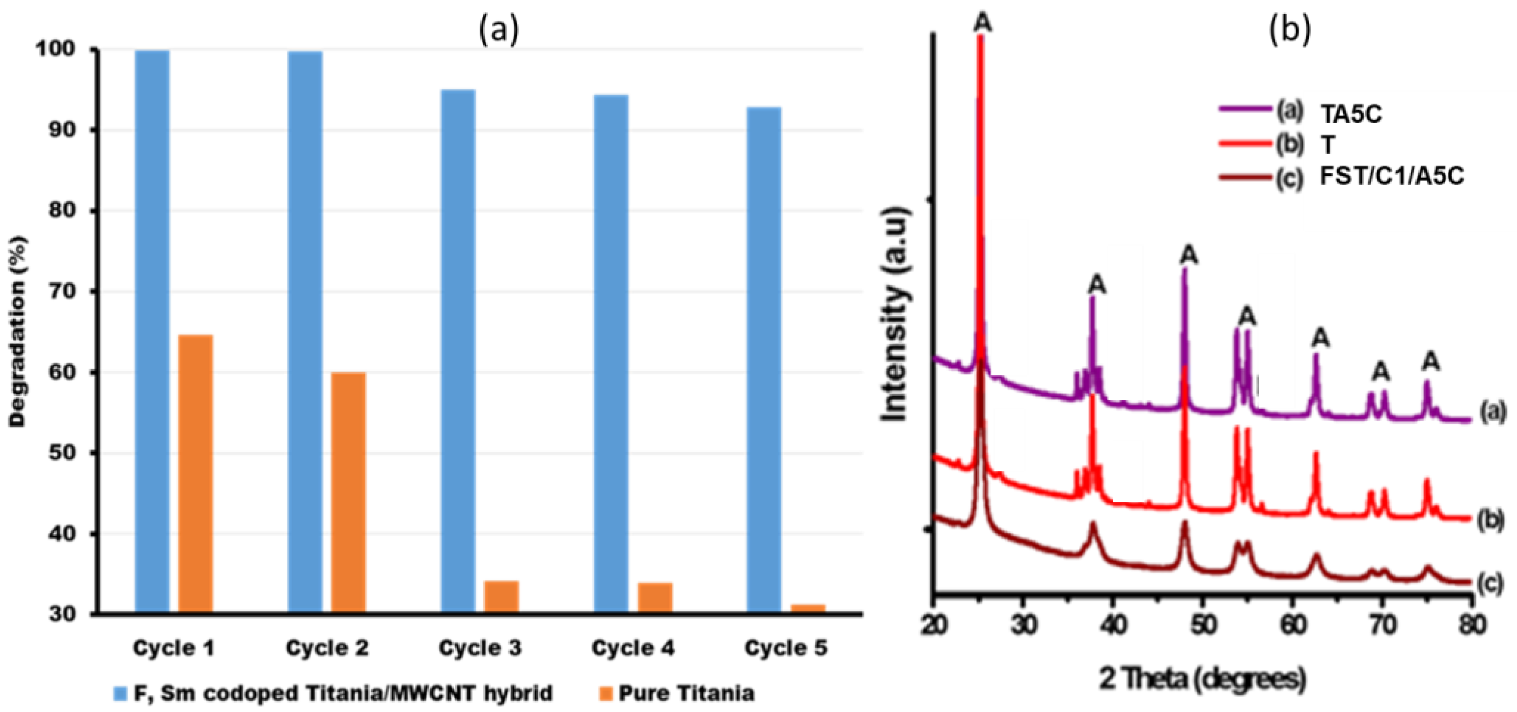 Catalysts 13 00086 g007