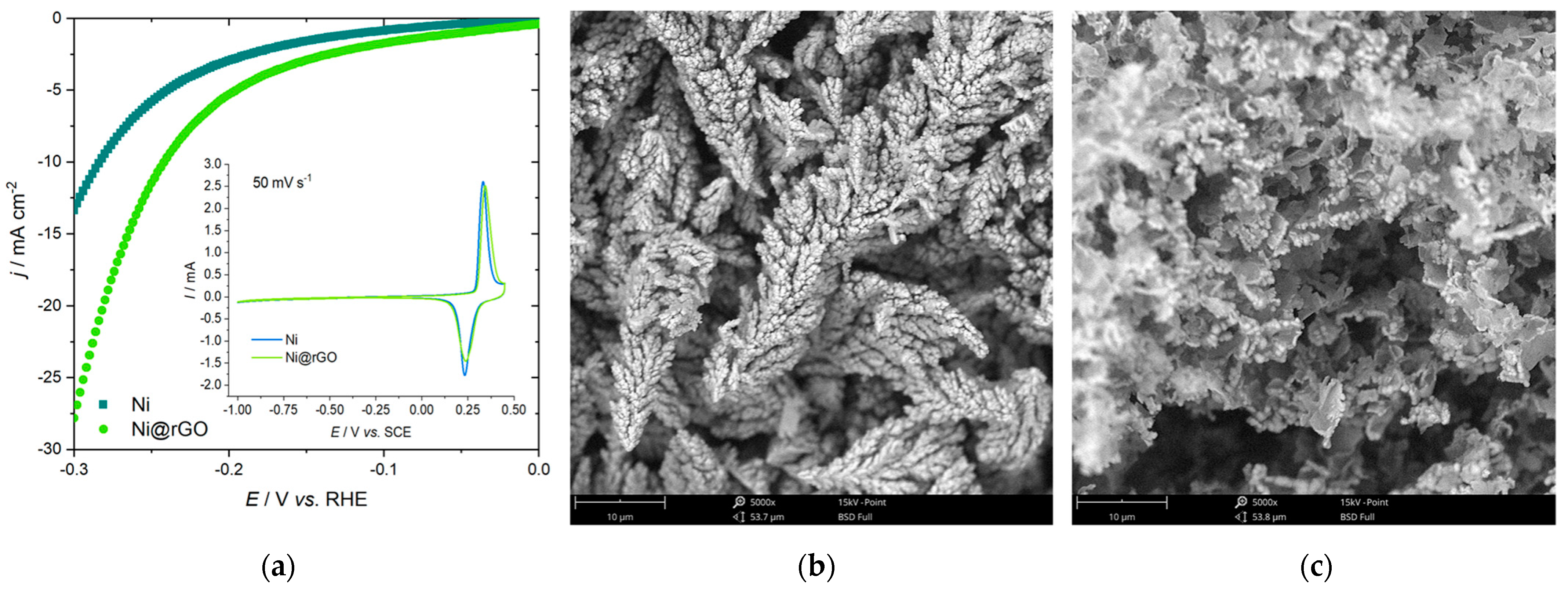 Catalysts 13 00089 g007