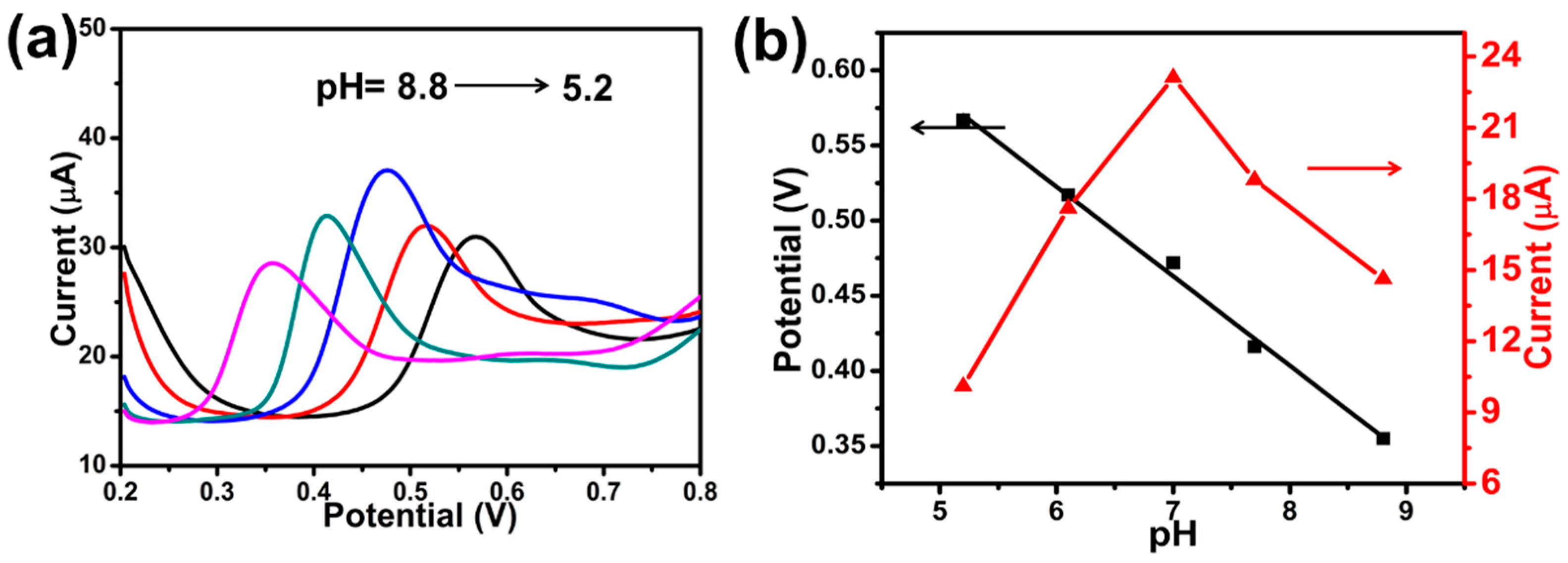 Catalysts 13 00091 g004