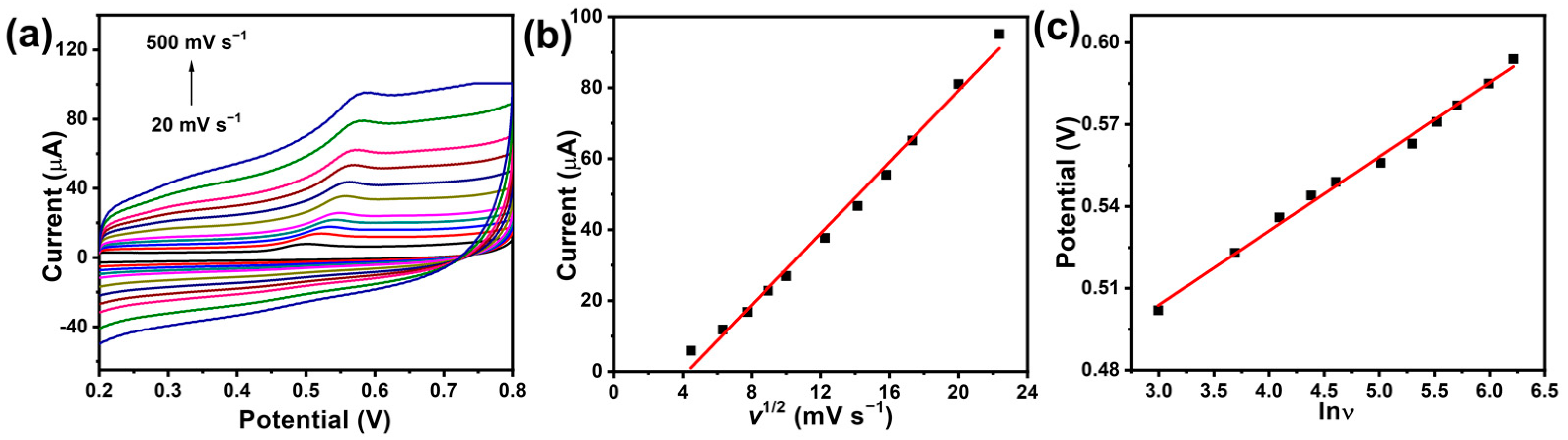 Catalysts 13 00091 g005