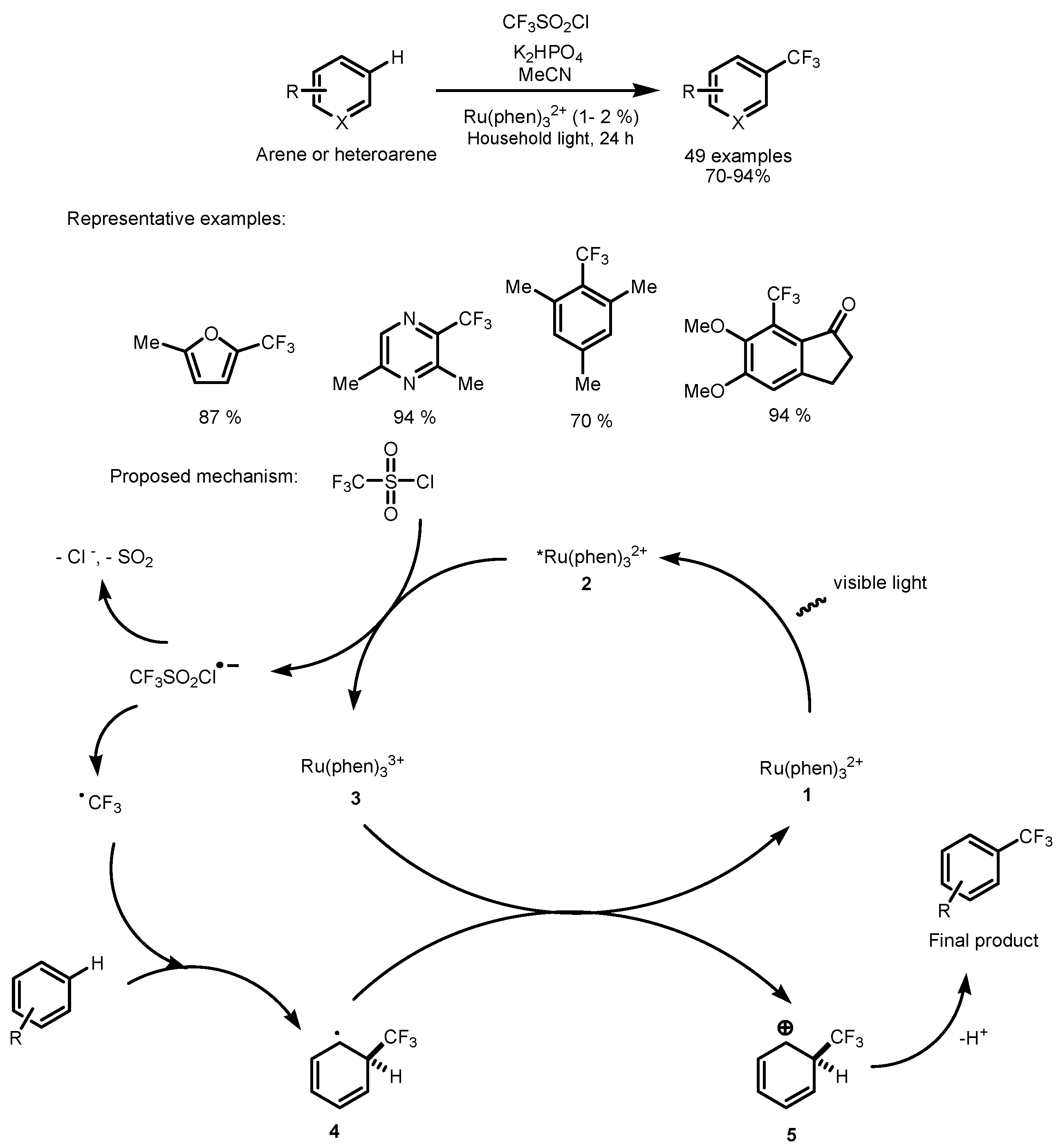 Catalysts 13 00094 sch001