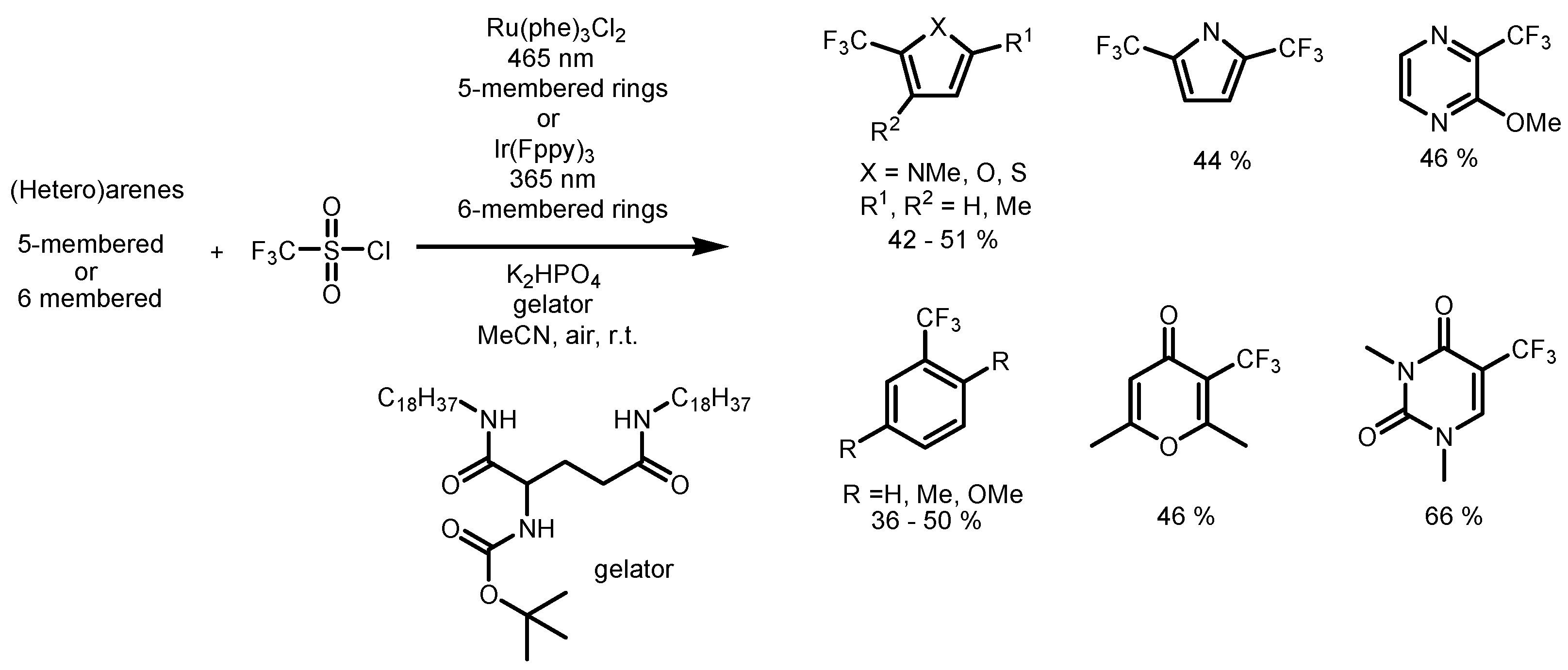 Catalysts 13 00094 sch004