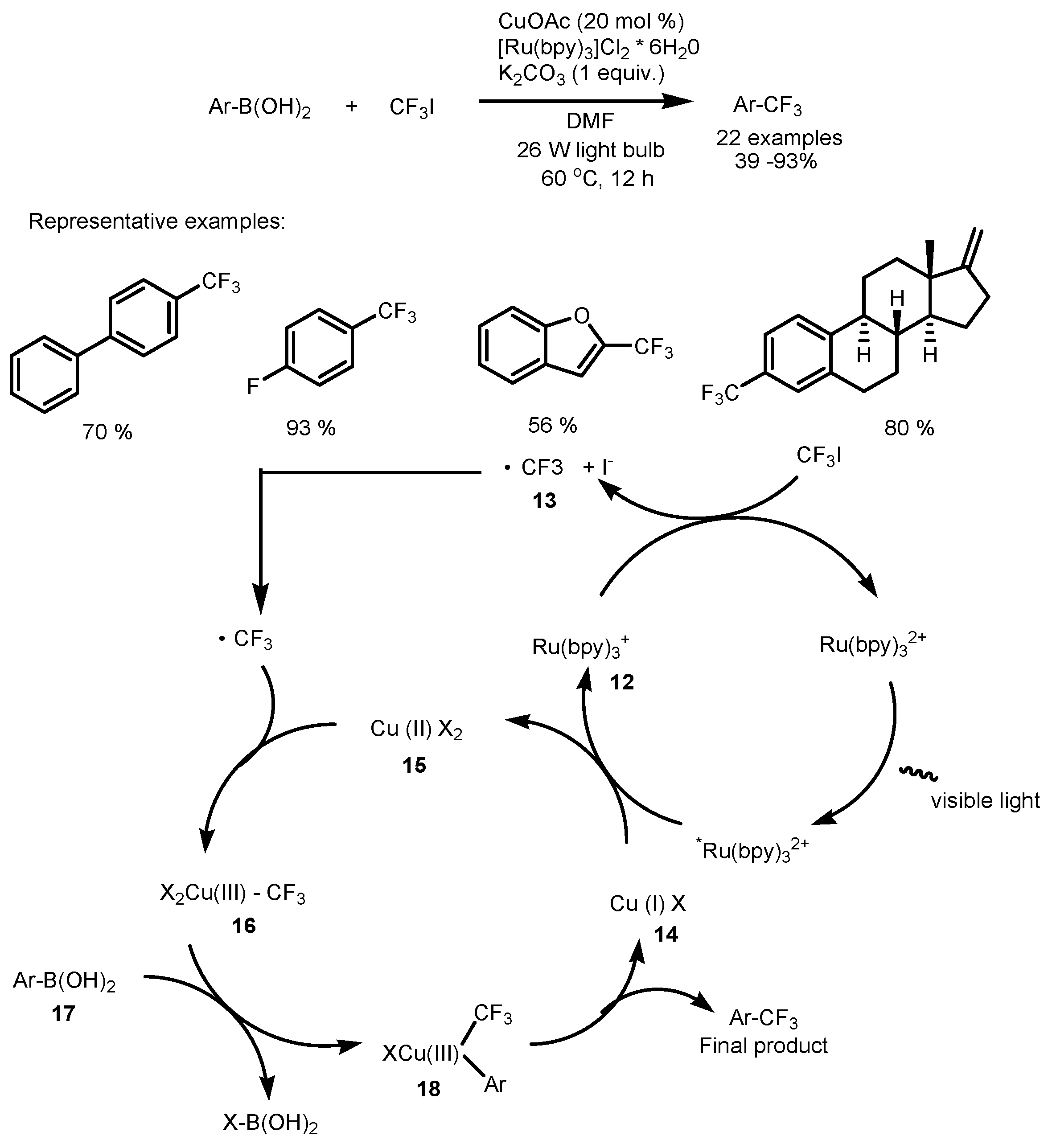 Catalysts 13 00094 sch005