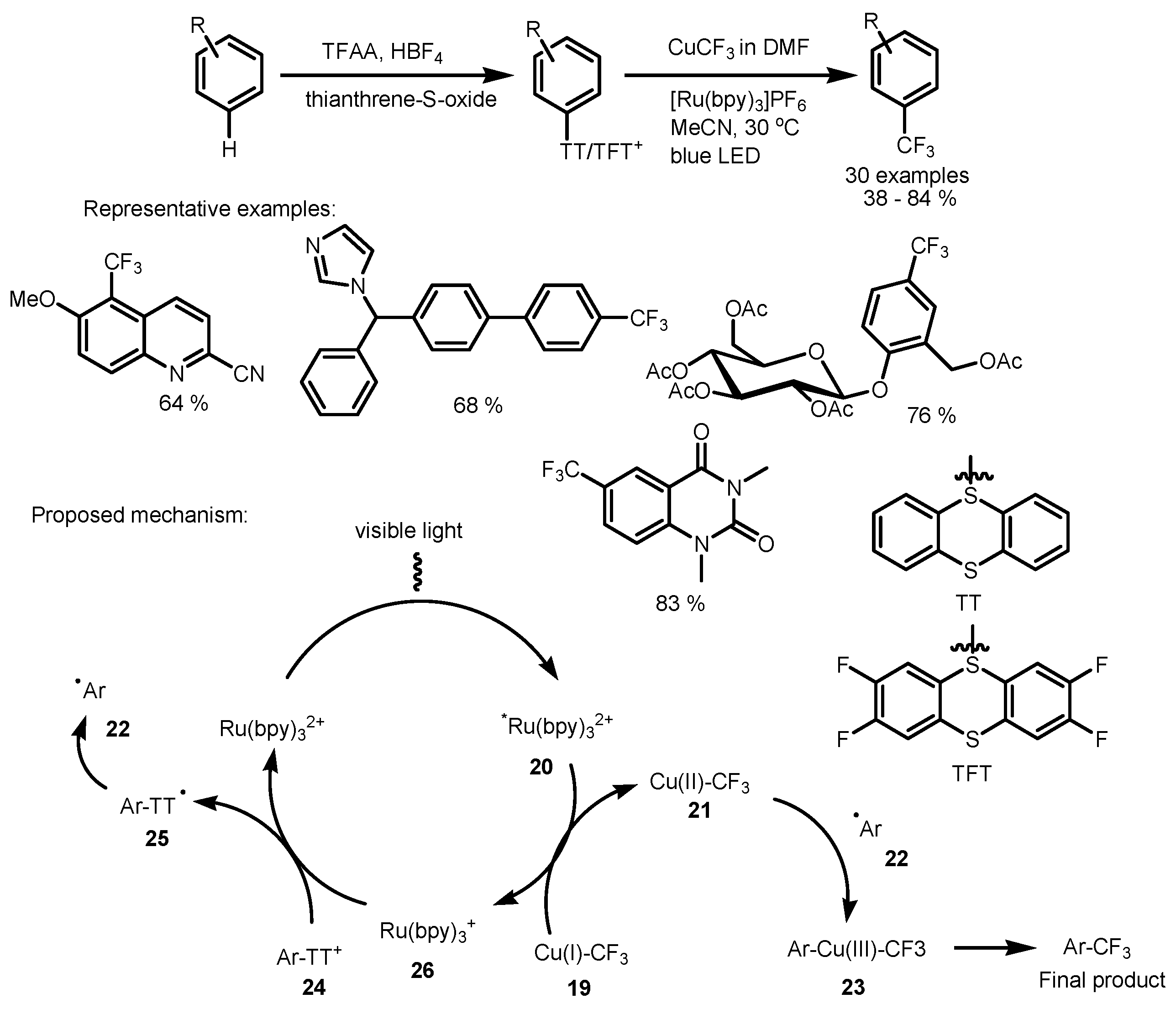 Catalysts 13 00094 sch006