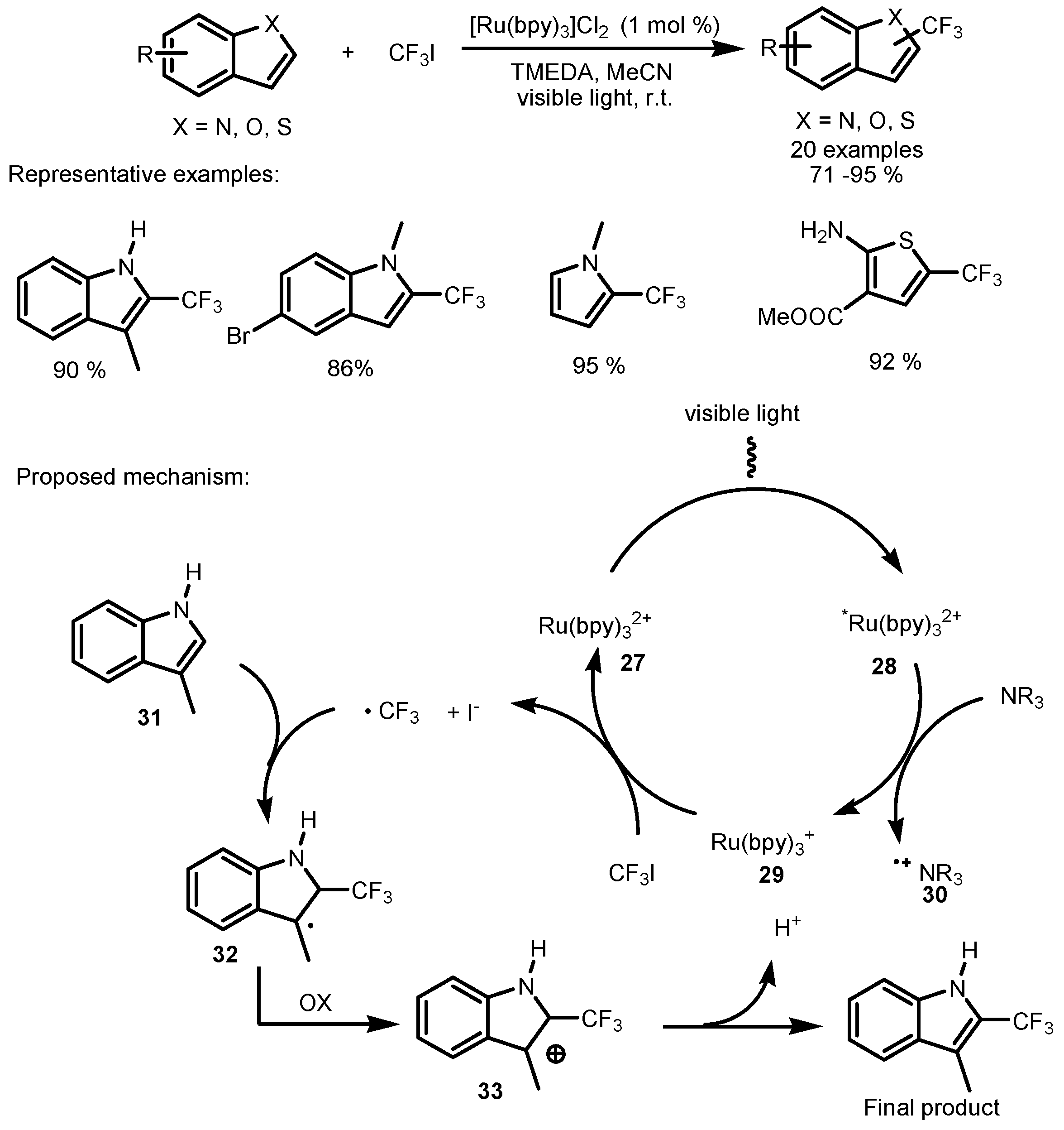 Catalysts 13 00094 sch007