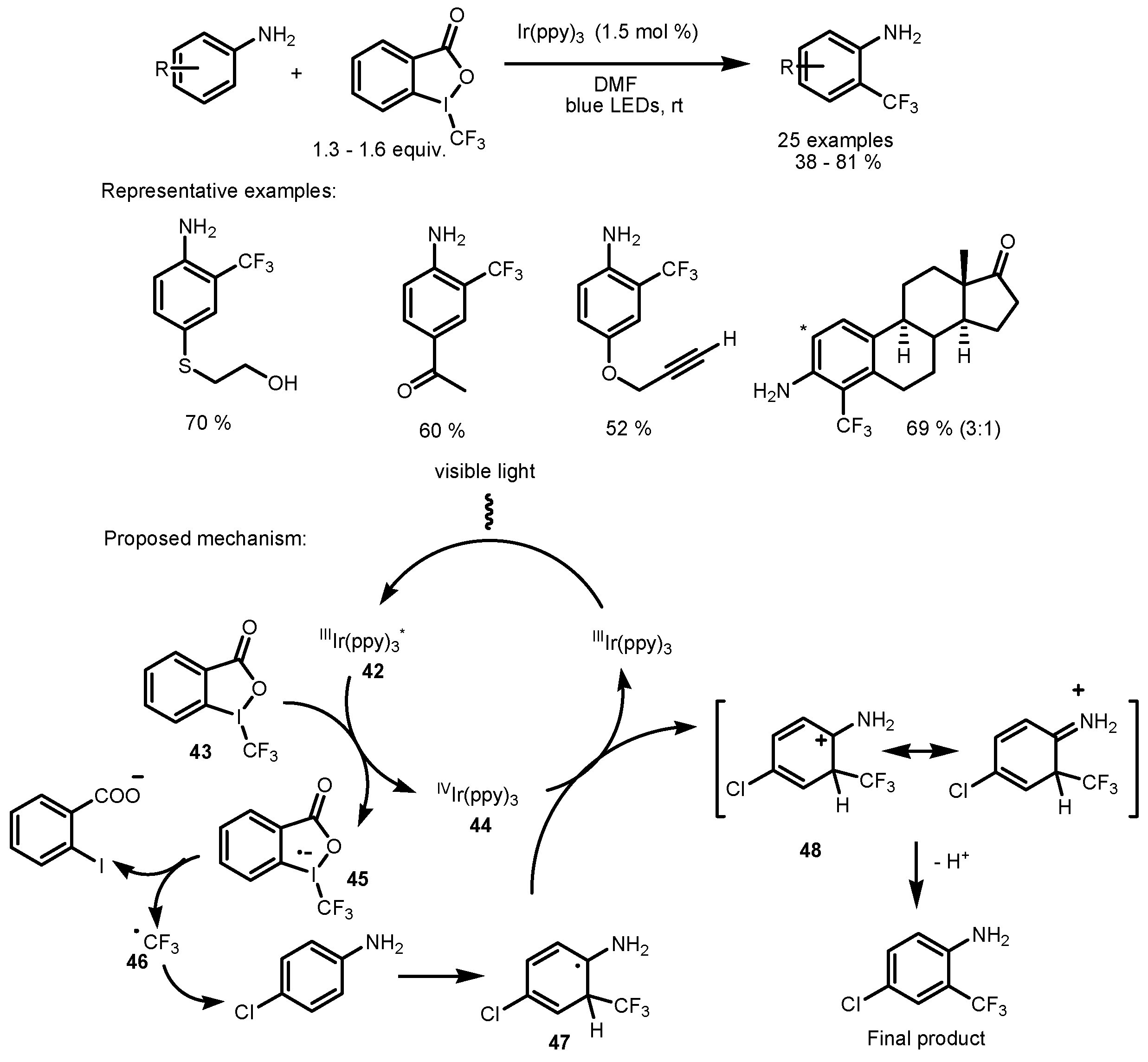Catalysts 13 00094 sch010
