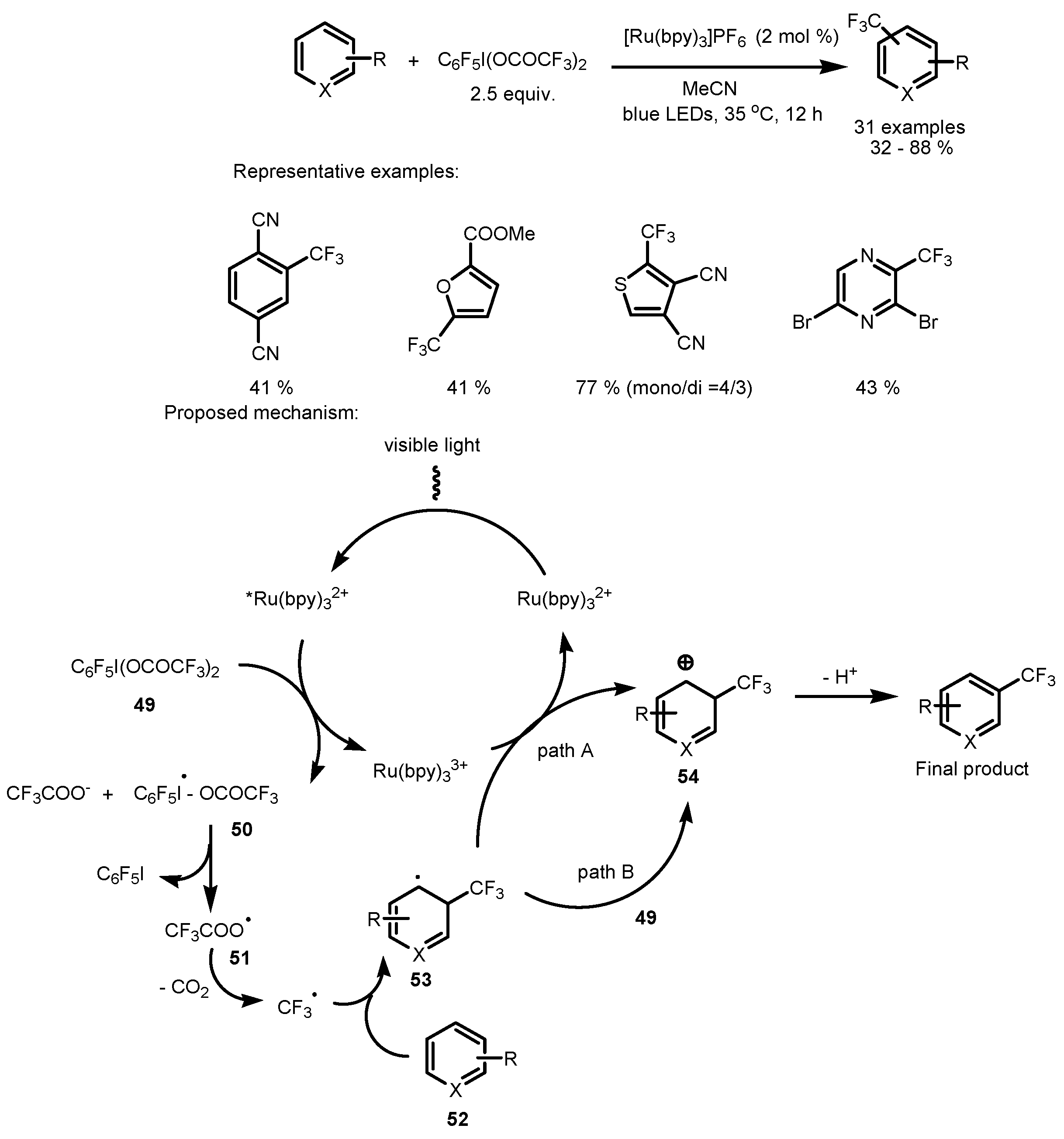 Catalysts 13 00094 sch011