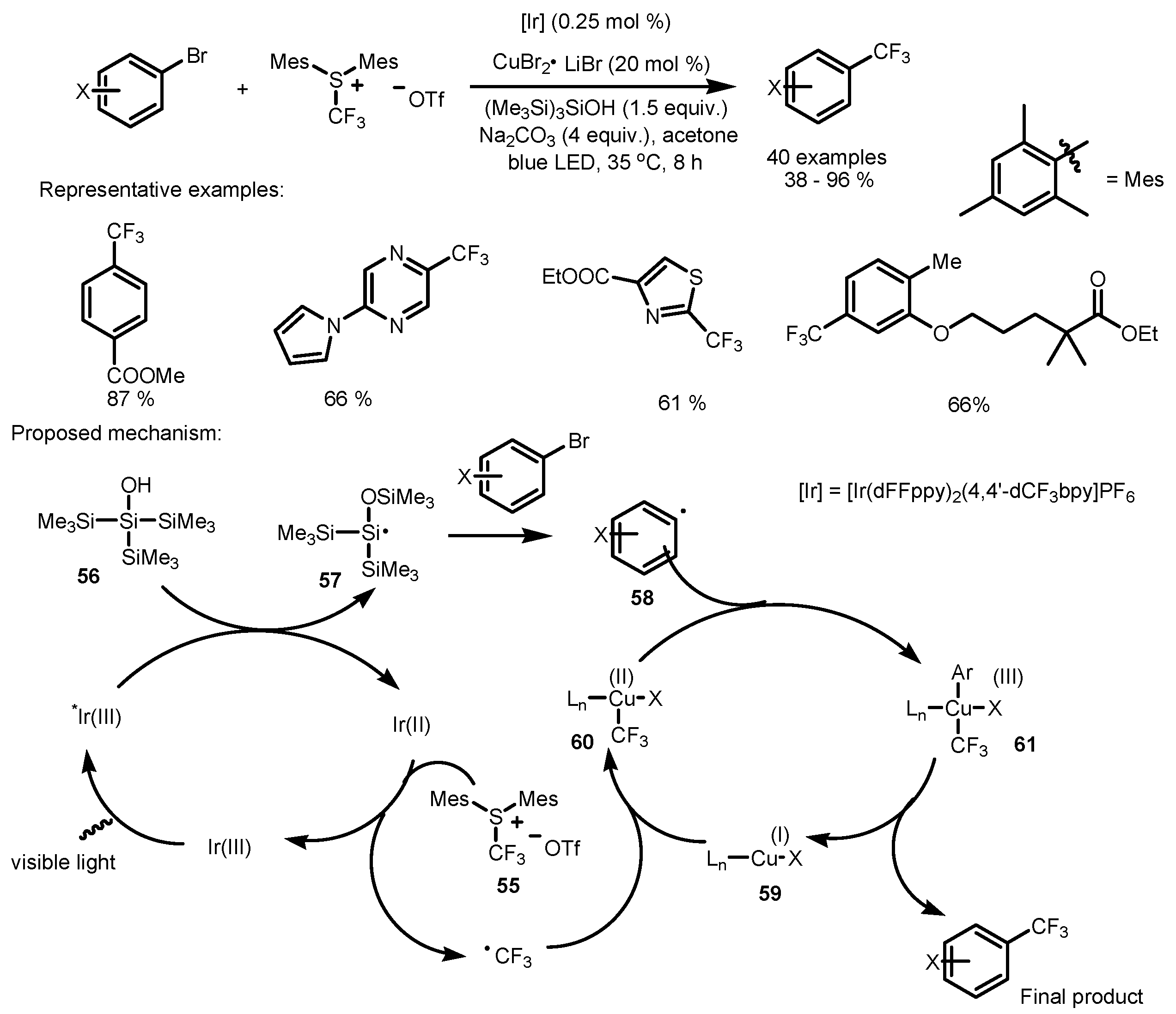 Catalysts 13 00094 sch012