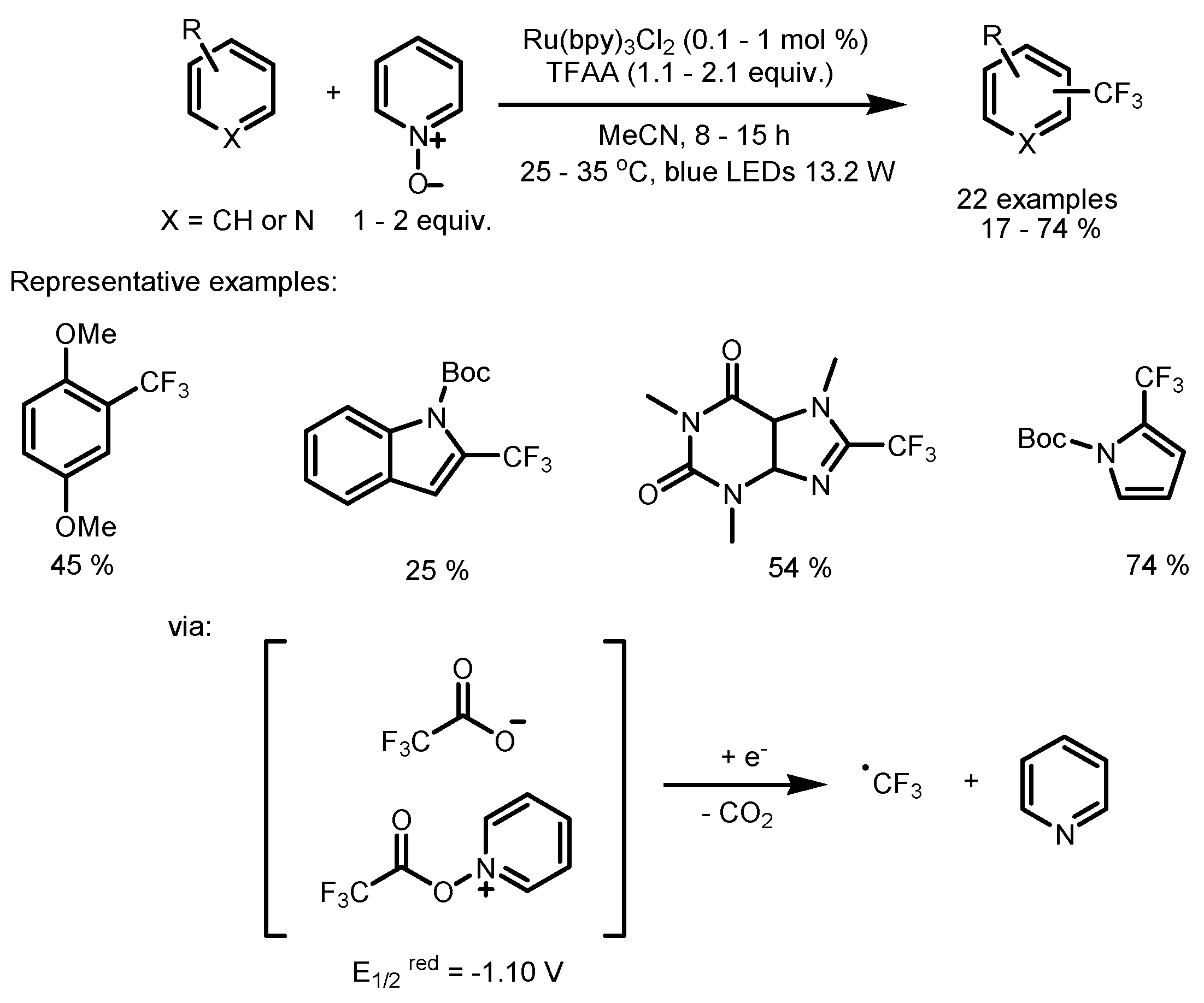 Catalysts 13 00094 sch013