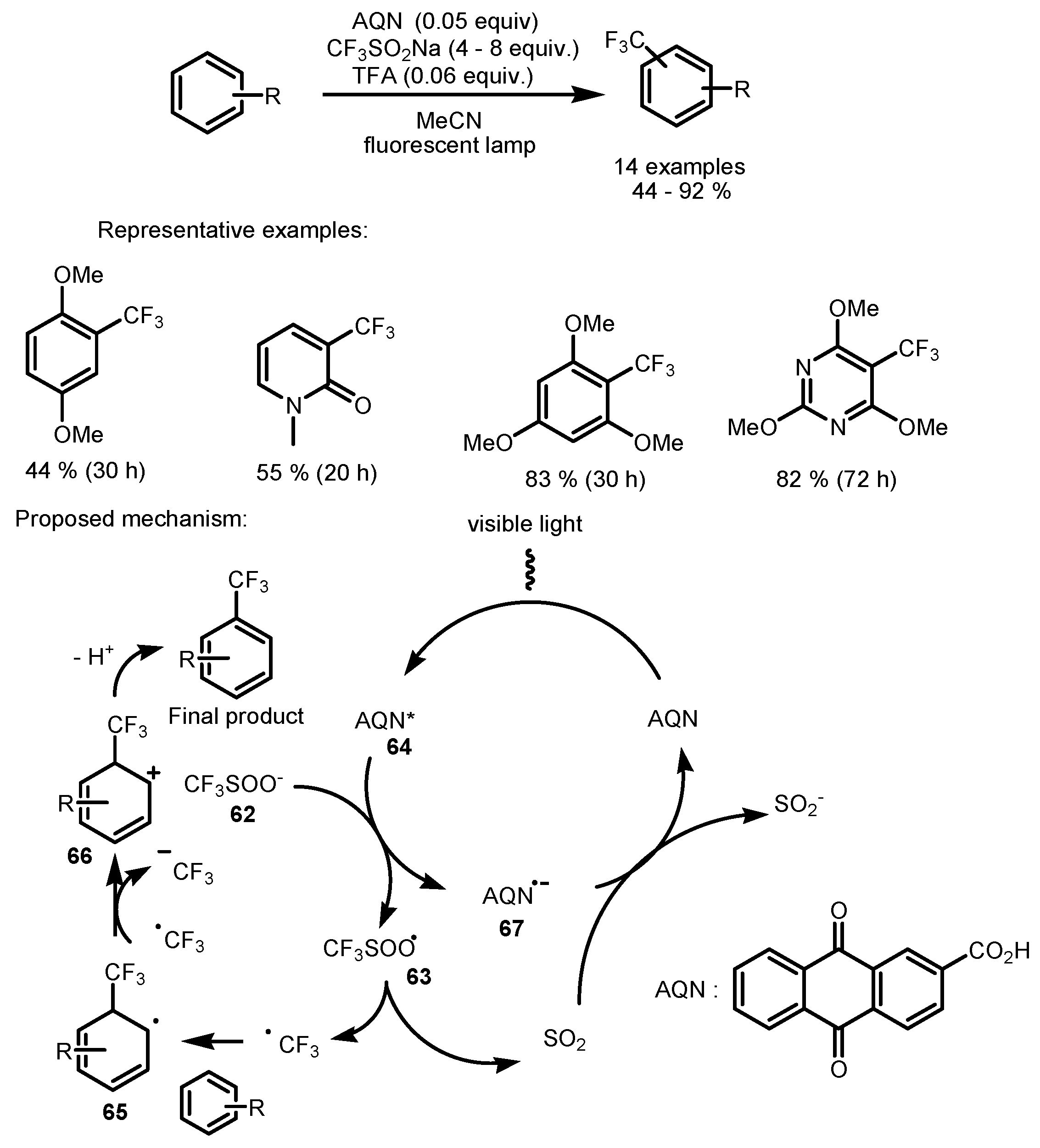 Catalysts 13 00094 sch015