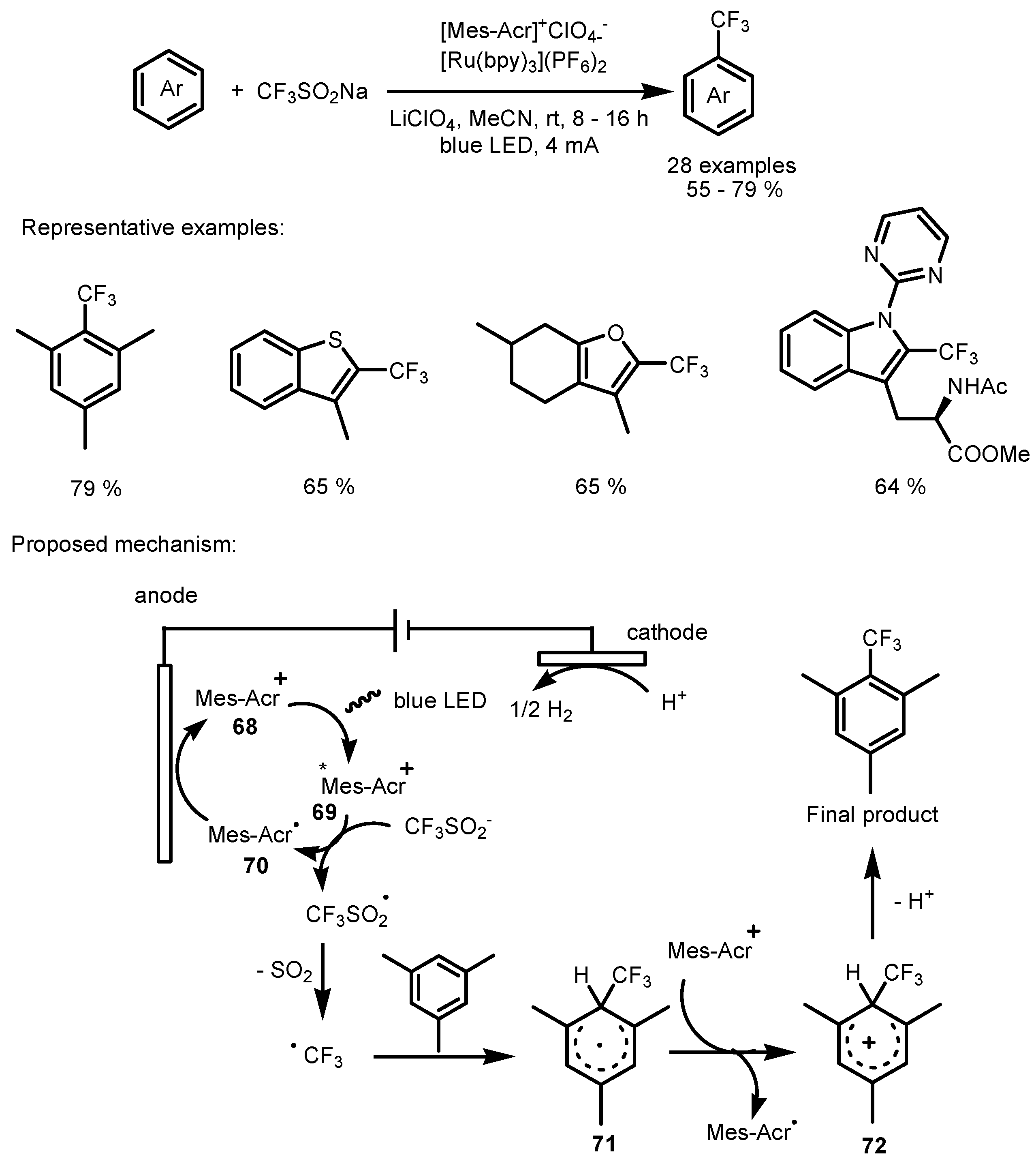 Catalysts 13 00094 sch017