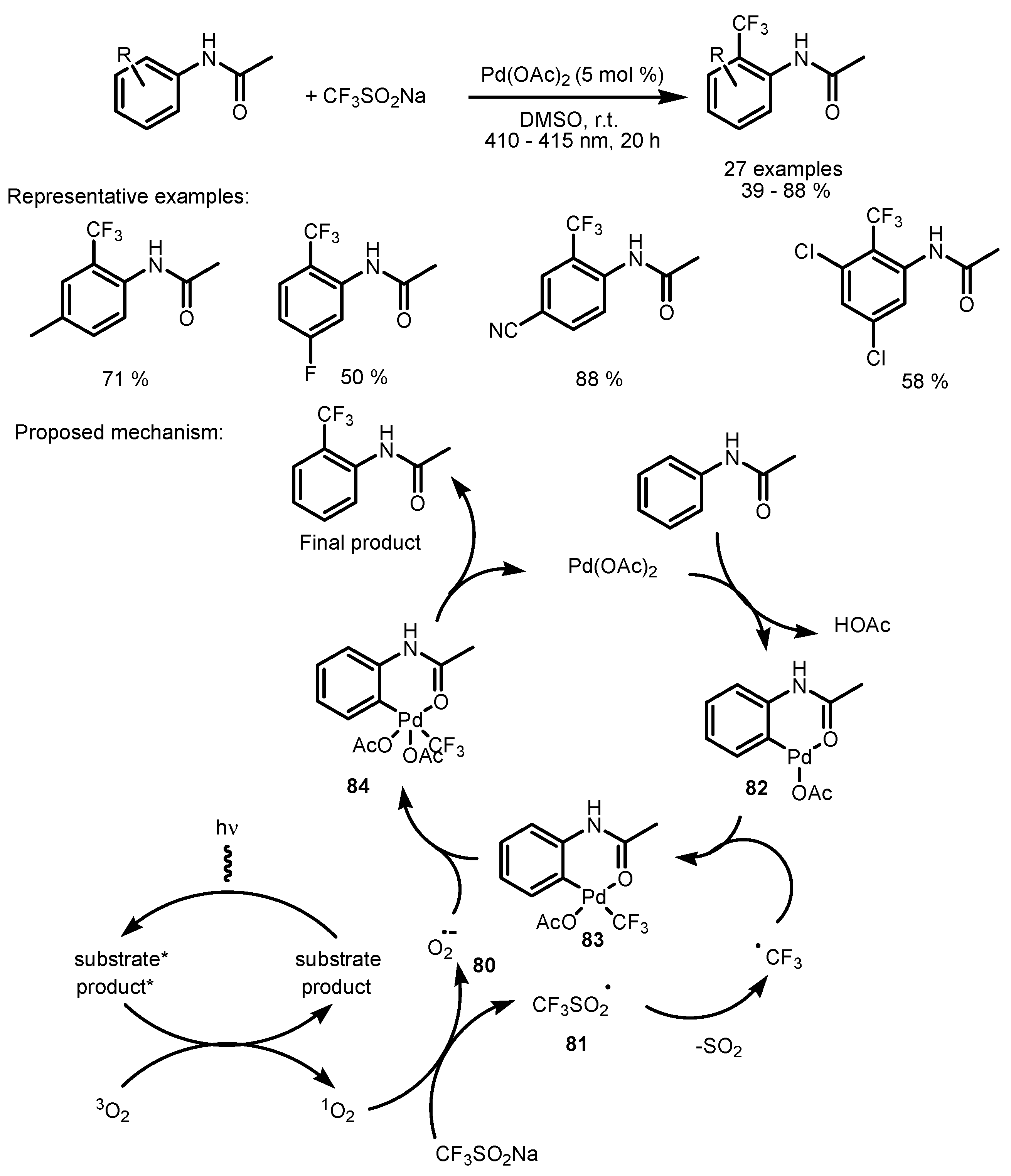 Catalysts 13 00094 sch020