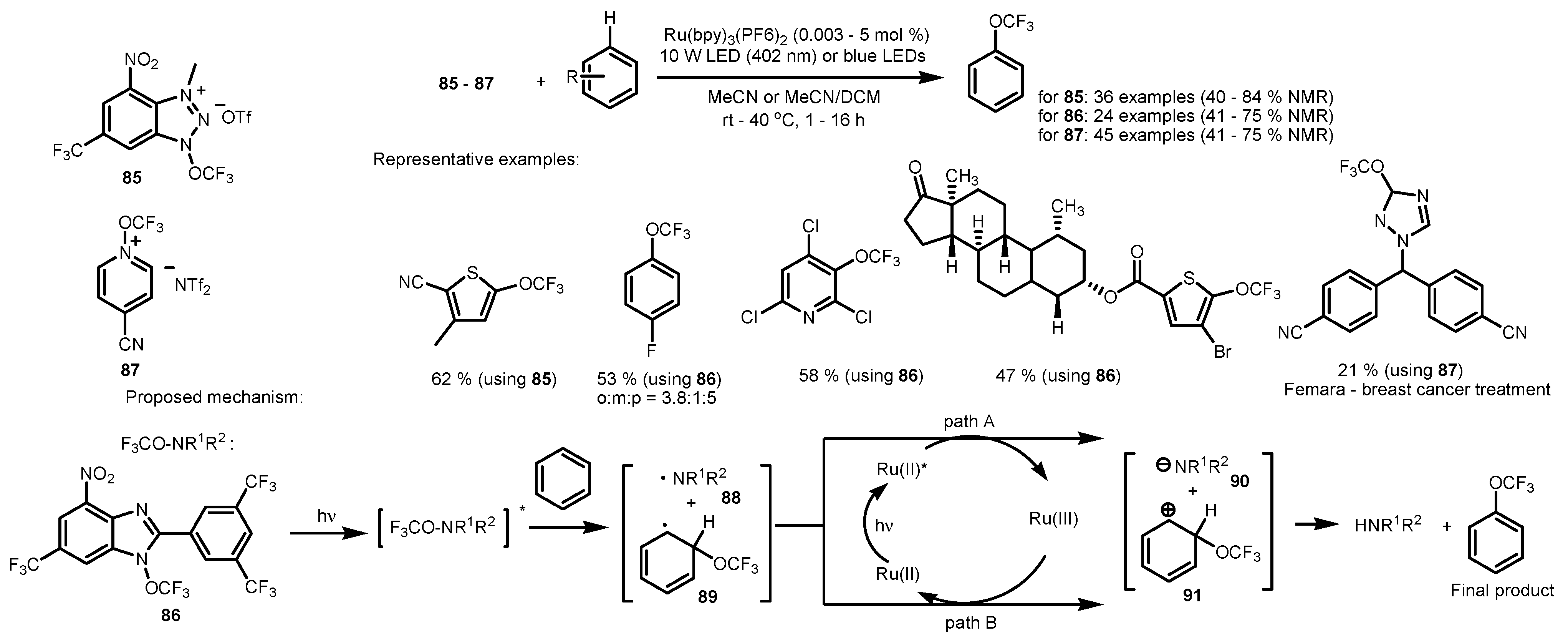 Catalysts 13 00094 sch022
