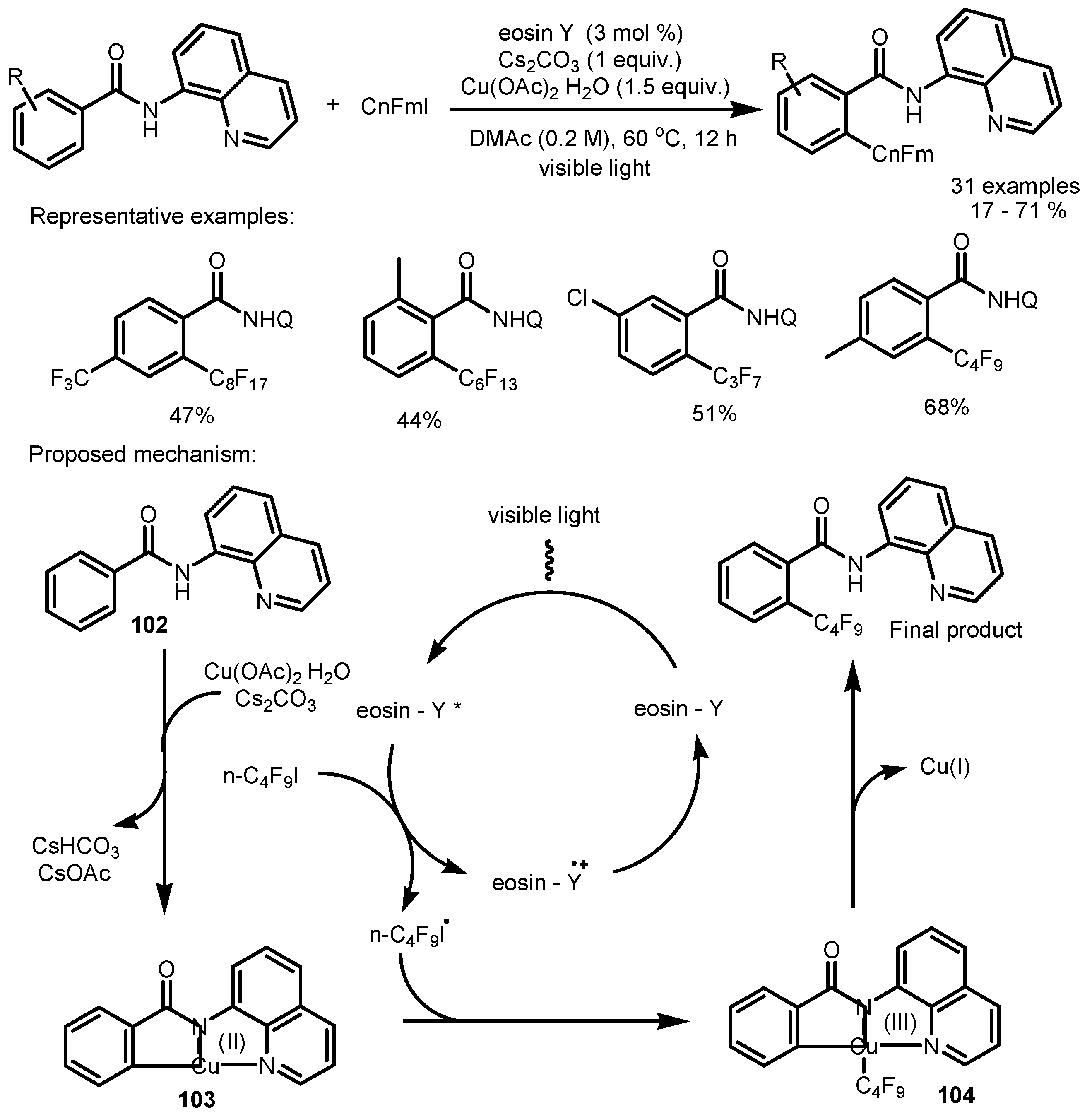 Catalysts 13 00094 sch029