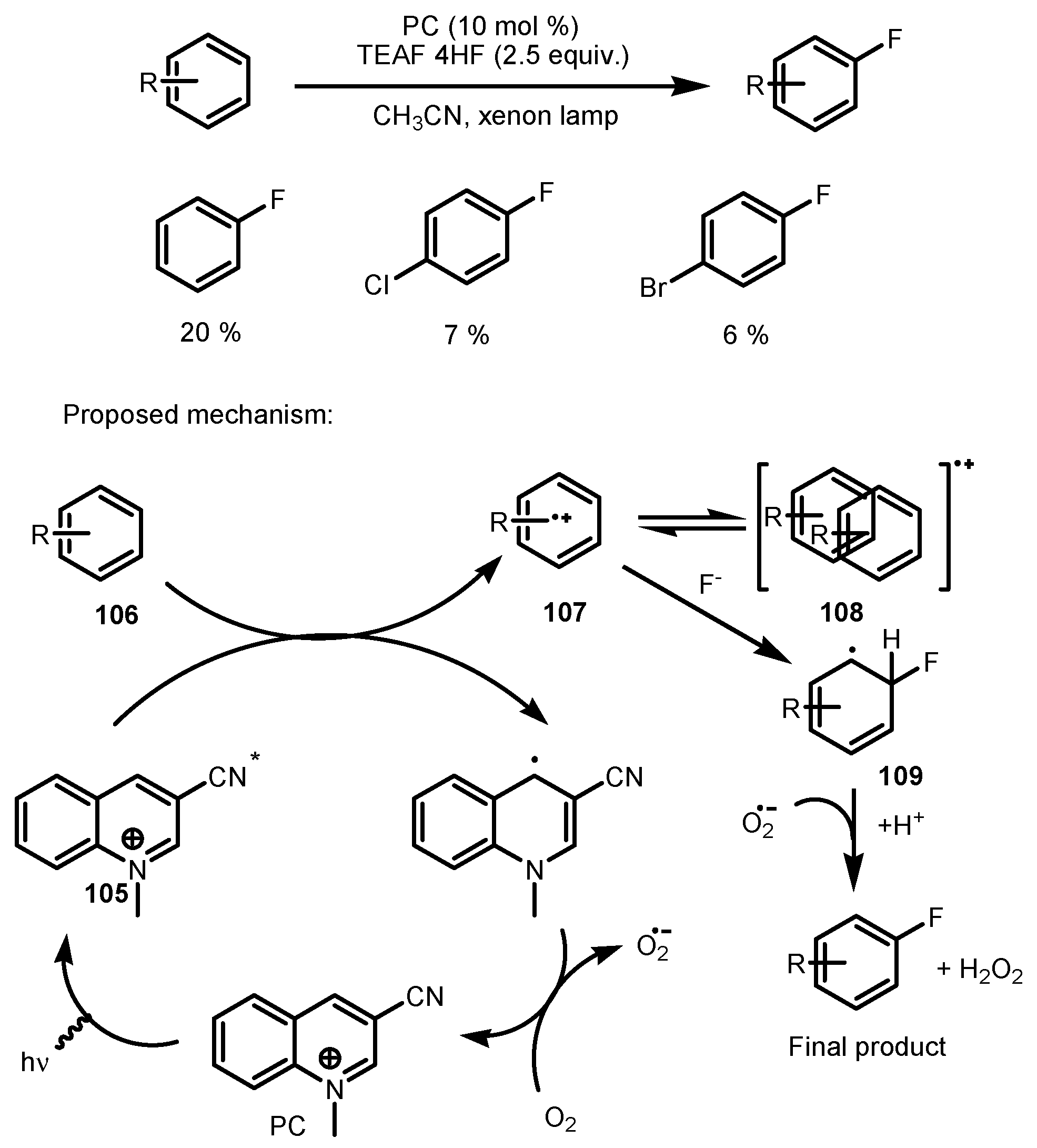 Catalysts 13 00094 sch031
