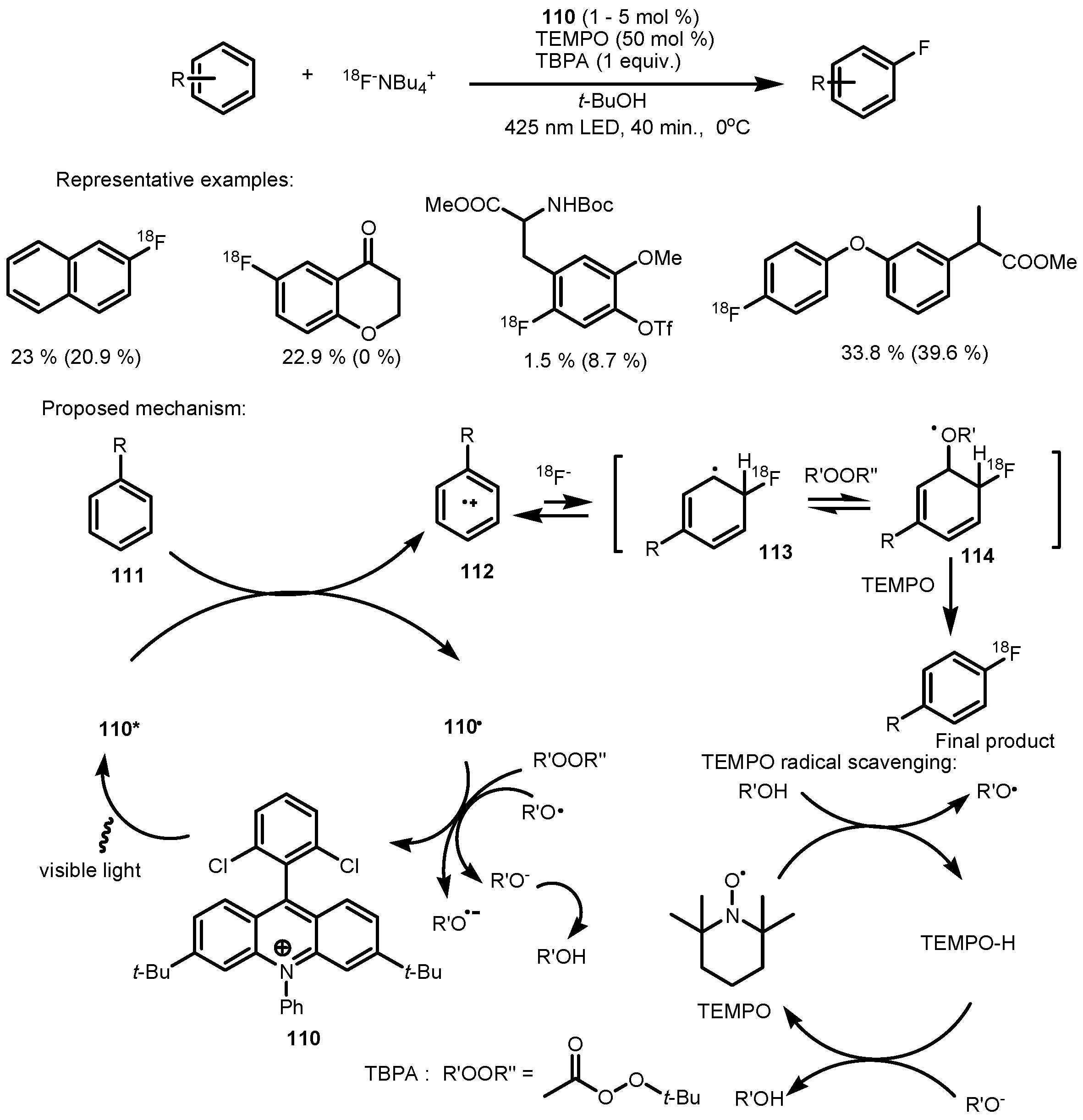 Catalysts 13 00094 sch032